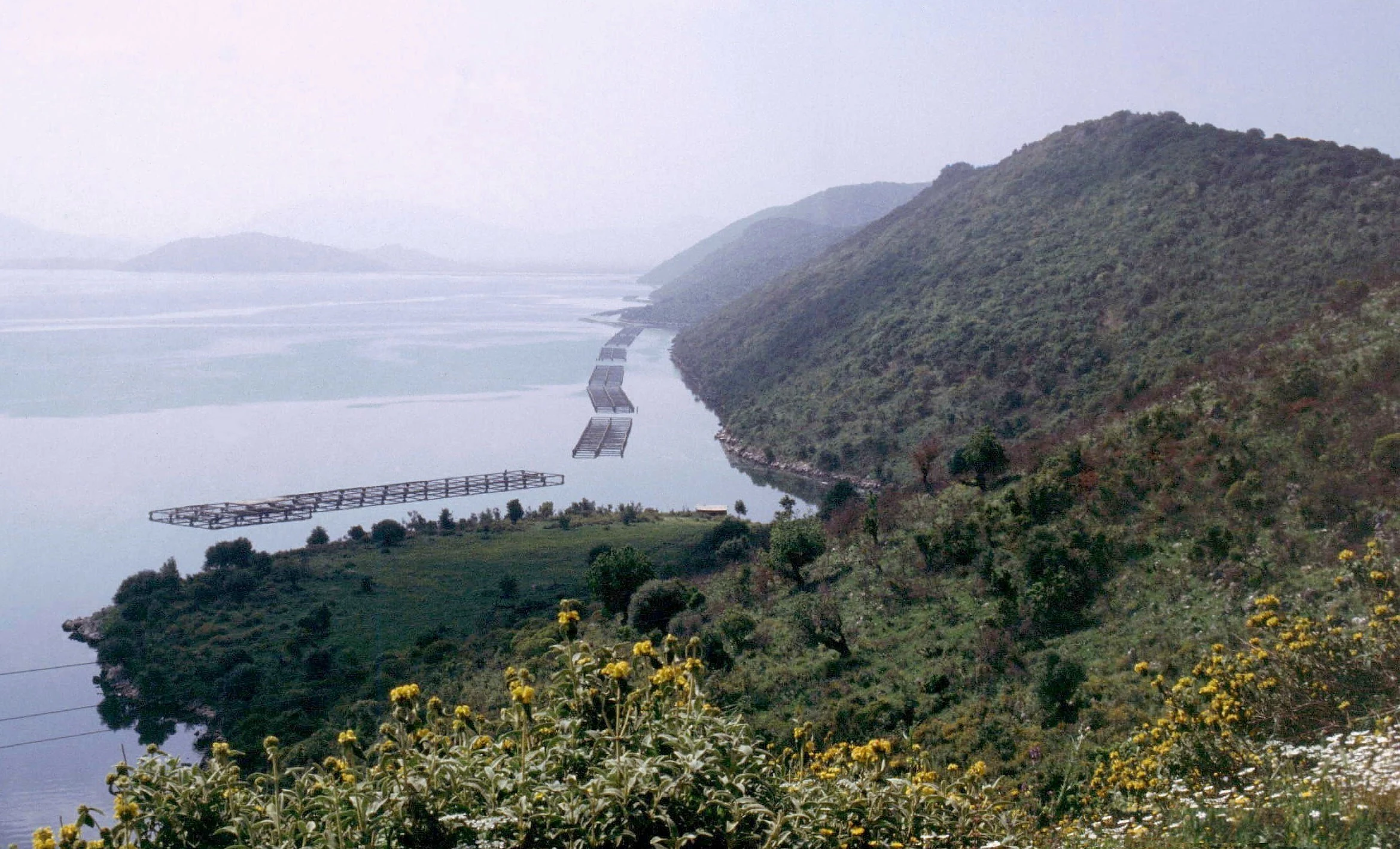 Panoramic view of Lake Butrint with a causeway structure on the water, surrounded by hills and greenery