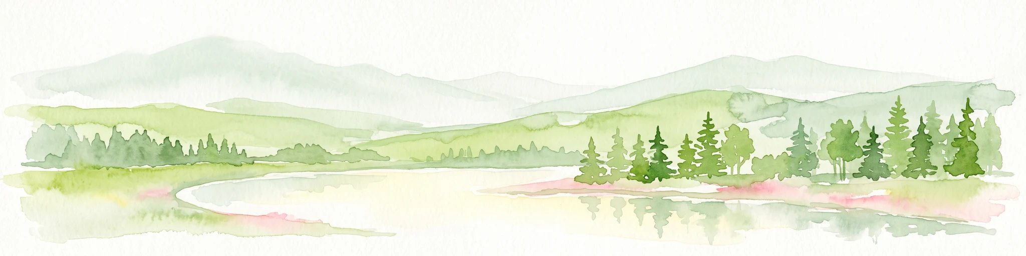 A horizontal watercolor illustration depicting a line of evergreen trees along a shoreline with rolling hills in the background.