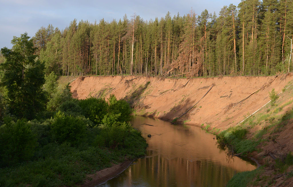 River running through forested landscape with sandy cliffs and pine trees in the background