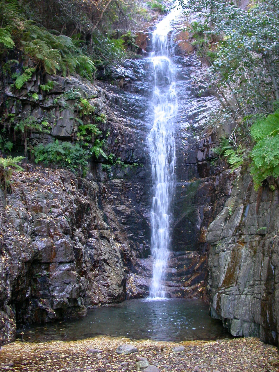 Waterfall cascading over rocky cliffs into a pool surrounded by forest vegetation