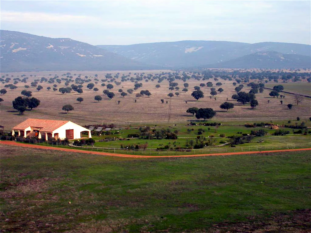 White building with red roof on grassy field with scattered trees and mountains in background