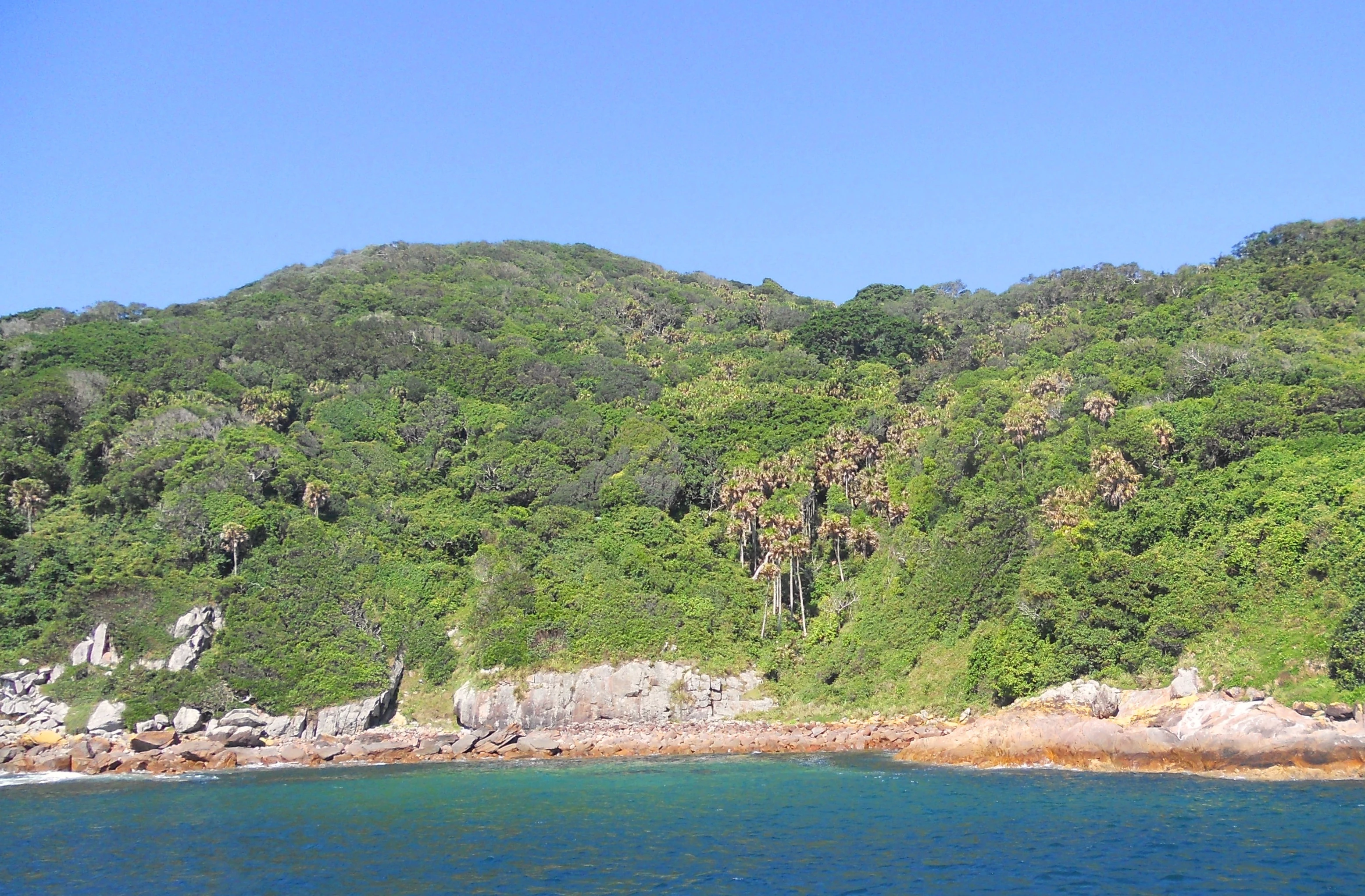 A wide shot of Cabbage Tree Island taken from the water, showing a green, forested hillside rising from a rocky coastline against a clear blue sky.