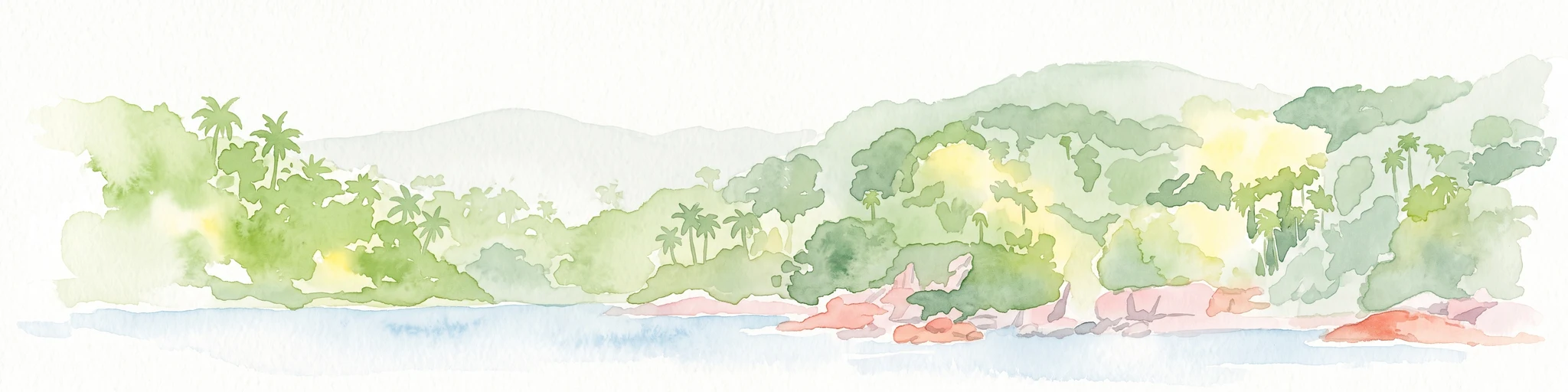 Una acuarela que muestra una costa de isla boscosa y verde con palmeras y afloramientos rocosos, bordeada por agua azul sobre un fondo blanco.