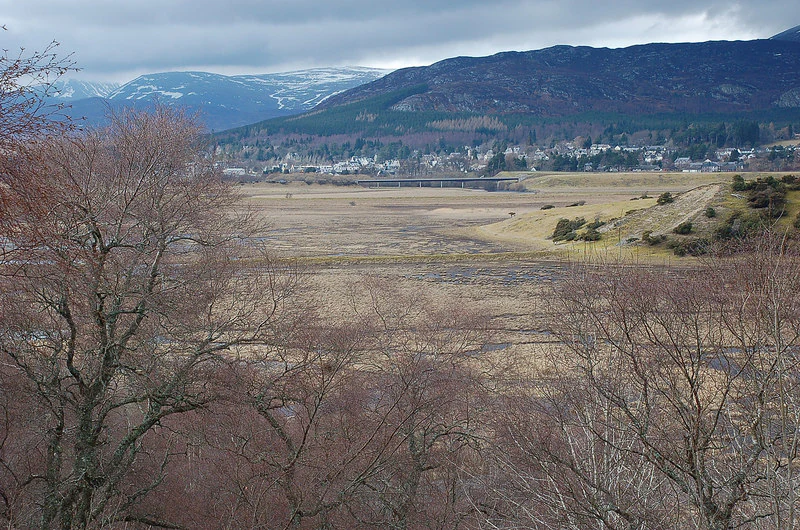 Wide landscape view of marshes and river with snow-capped mountains in the background