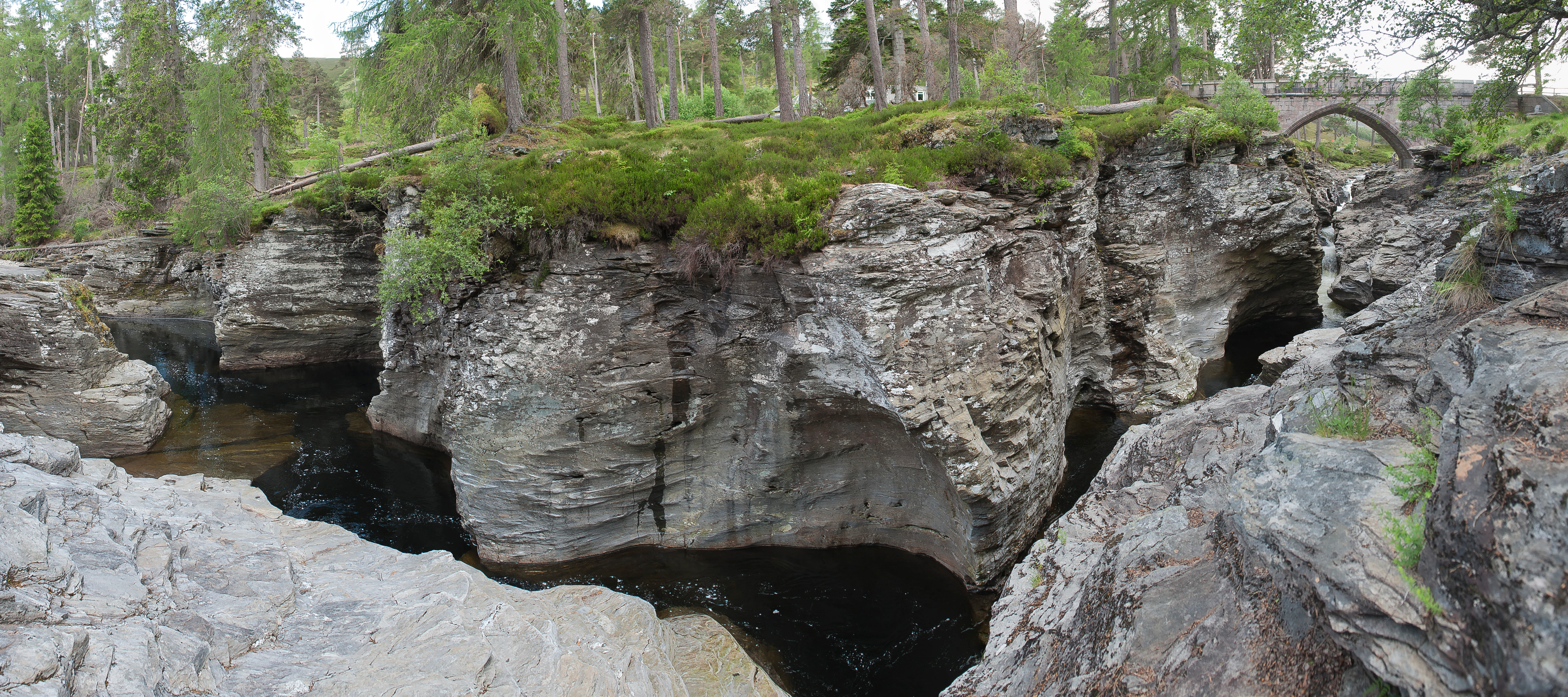 Rocky gorge with flowing river, moss-covered cliffs, and forested background