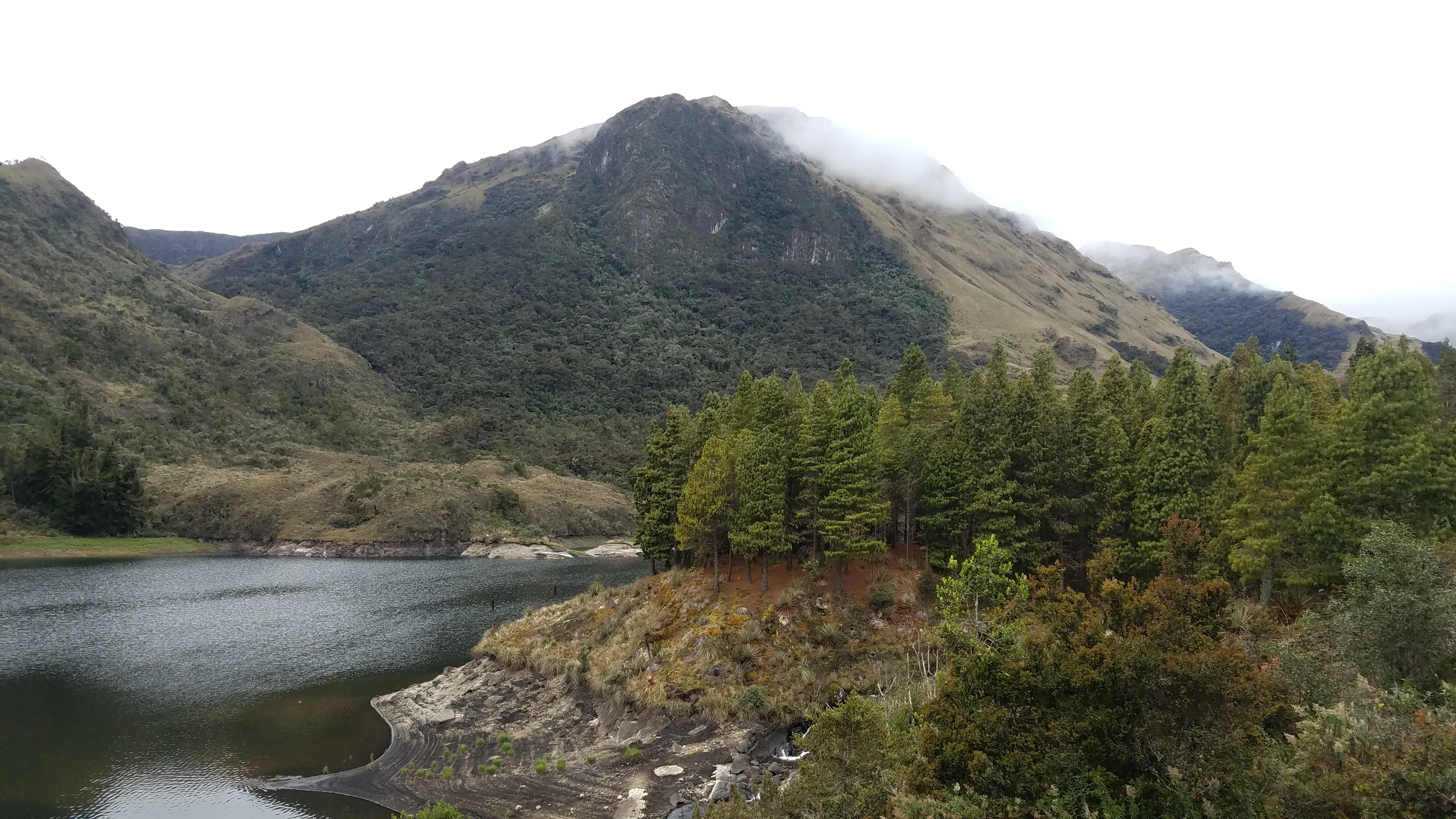 A wide landscape view of a dark mountain lake in the foreground with a coniferous forest and a large, cloud-topped mountain in the background.