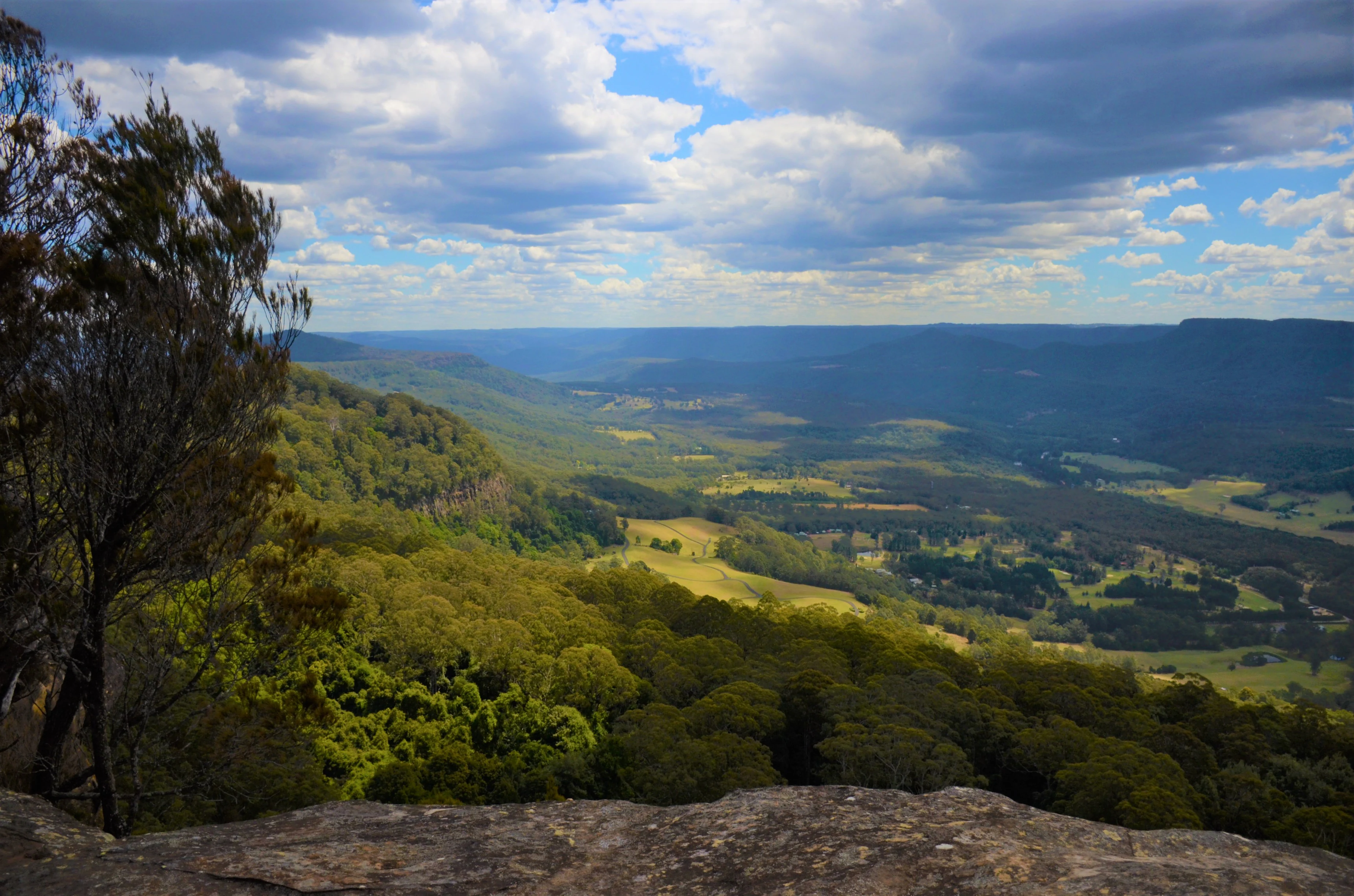 A high-angle view overlooking a deep green valley and rolling hills in the Cambewarra Range, framed by dark foreground trees and a cloudy sky.