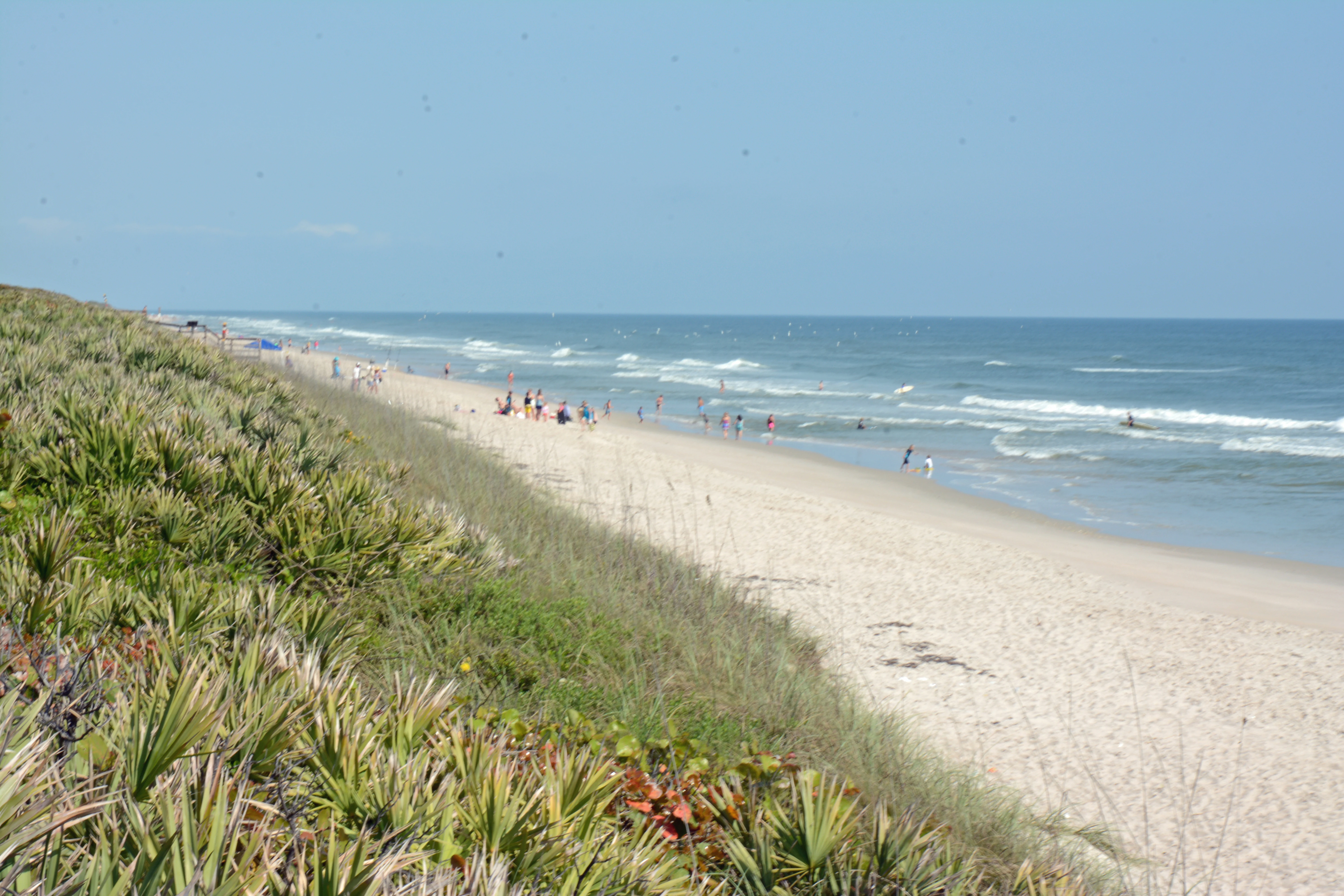 A sandy beach stretches into the distance alongside low dunes covered in green coastal plants under a clear sky.