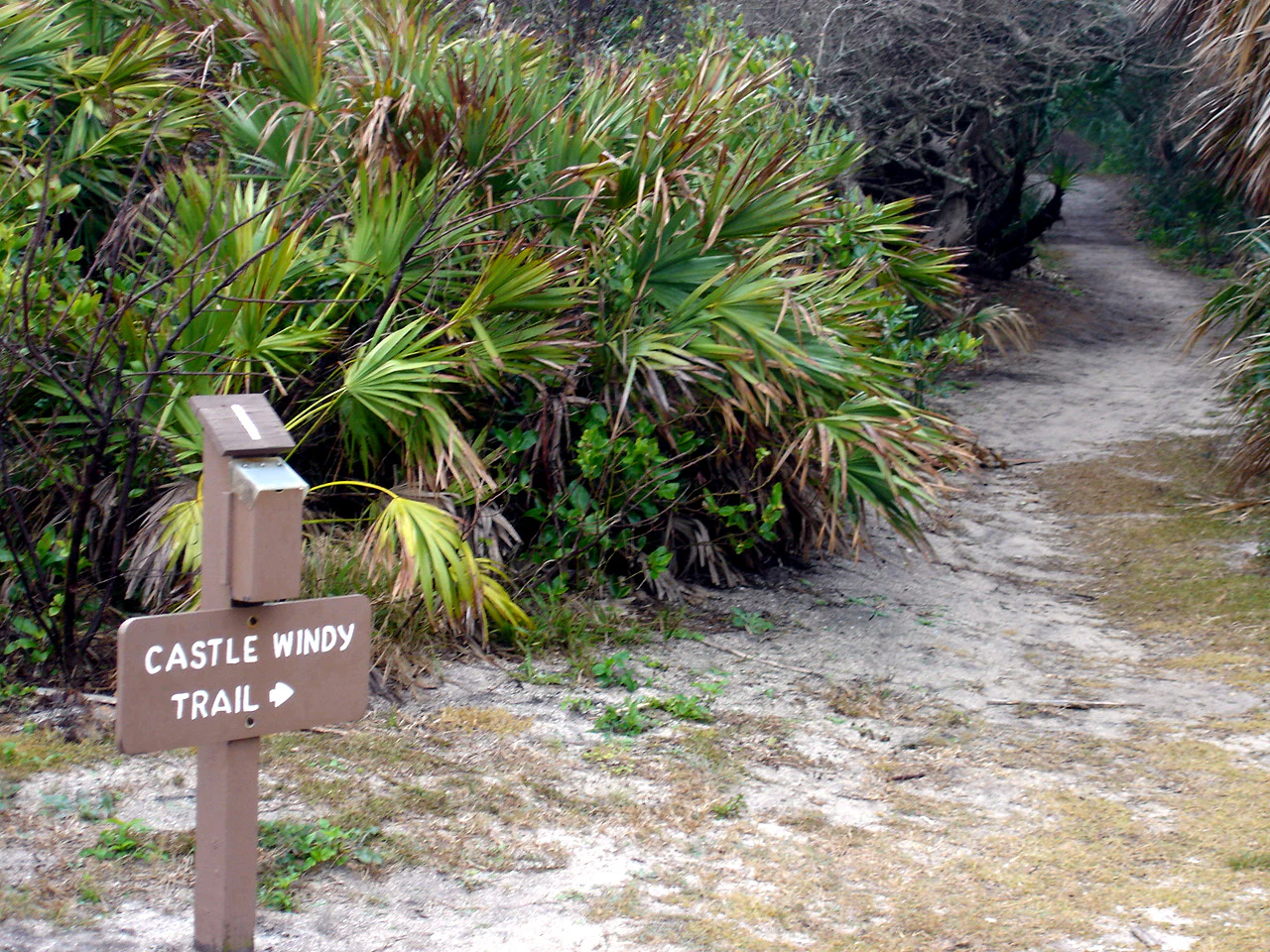A weathered wooden sign on a post reads Castle Windy Trail with an arrow pointing right, situated beside a sandy path surrounded by dense palmetto palms.