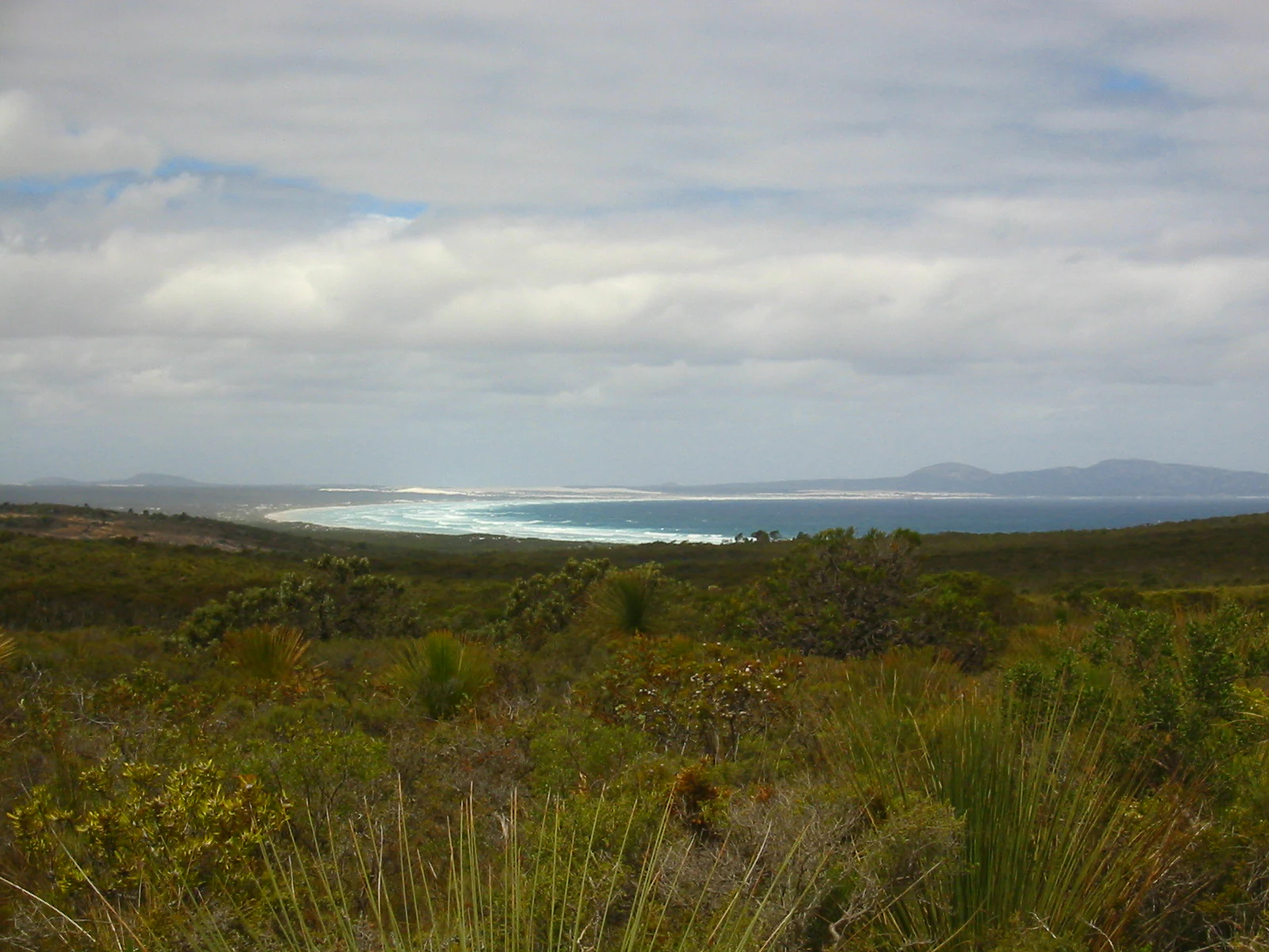 Wide coastal landscape view showing bay with ocean waves, dense vegetation, and distant headlands under cloudy sky