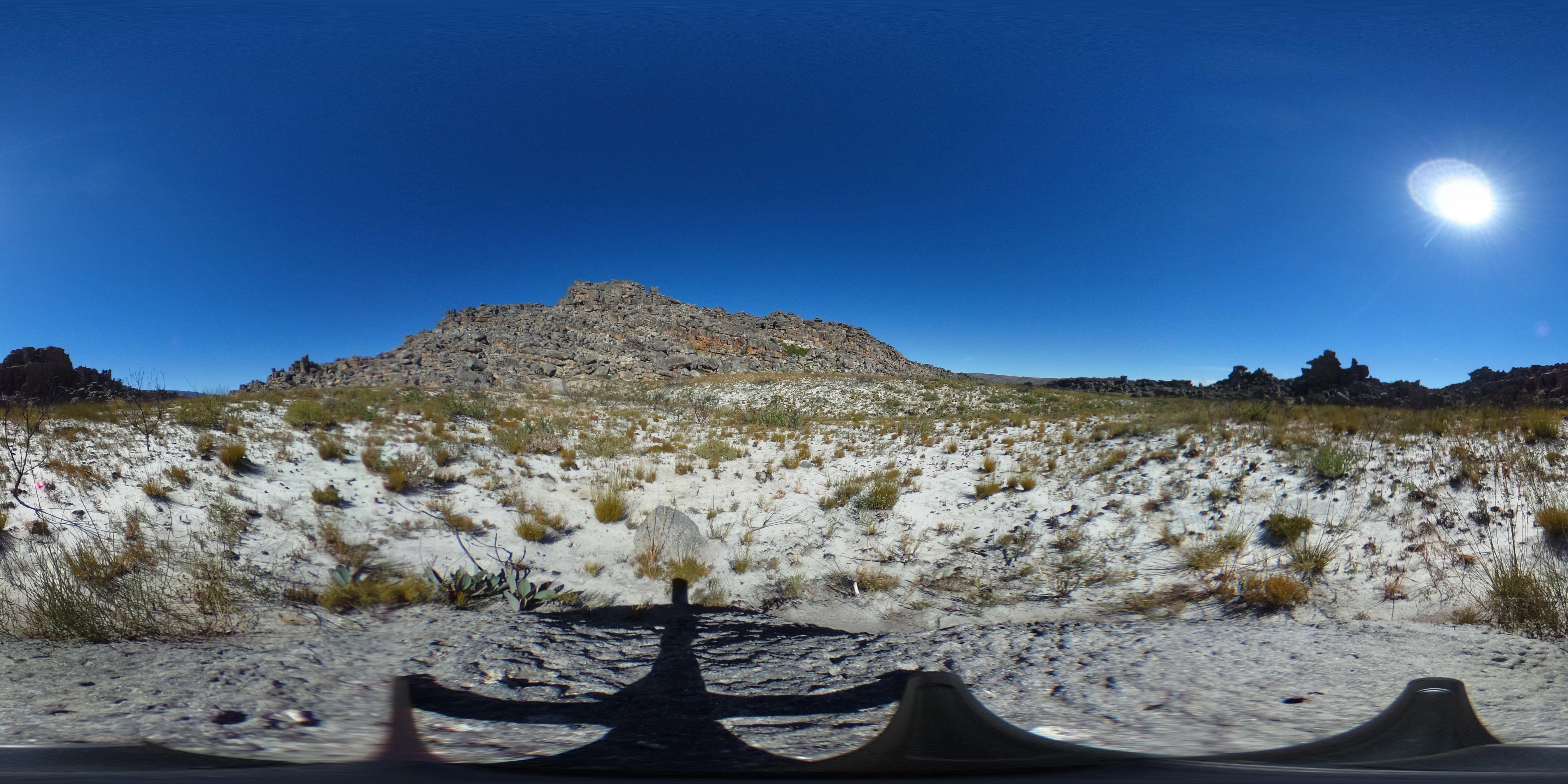 A wide, panoramic, 360-degree view showing sandy, rocky terrain with low-growing fynbos vegetation sprouting after a fire, under a bright blue sky with a visible sun.