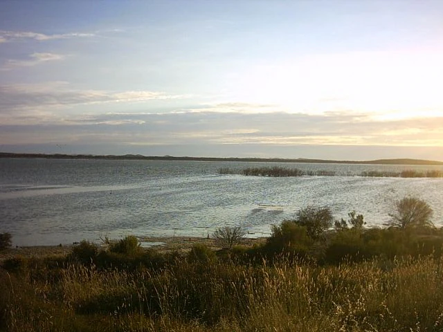 A wide view of a large, calm lagoon at sunset with golden light reflecting on the water and coastal vegetation in the foreground.