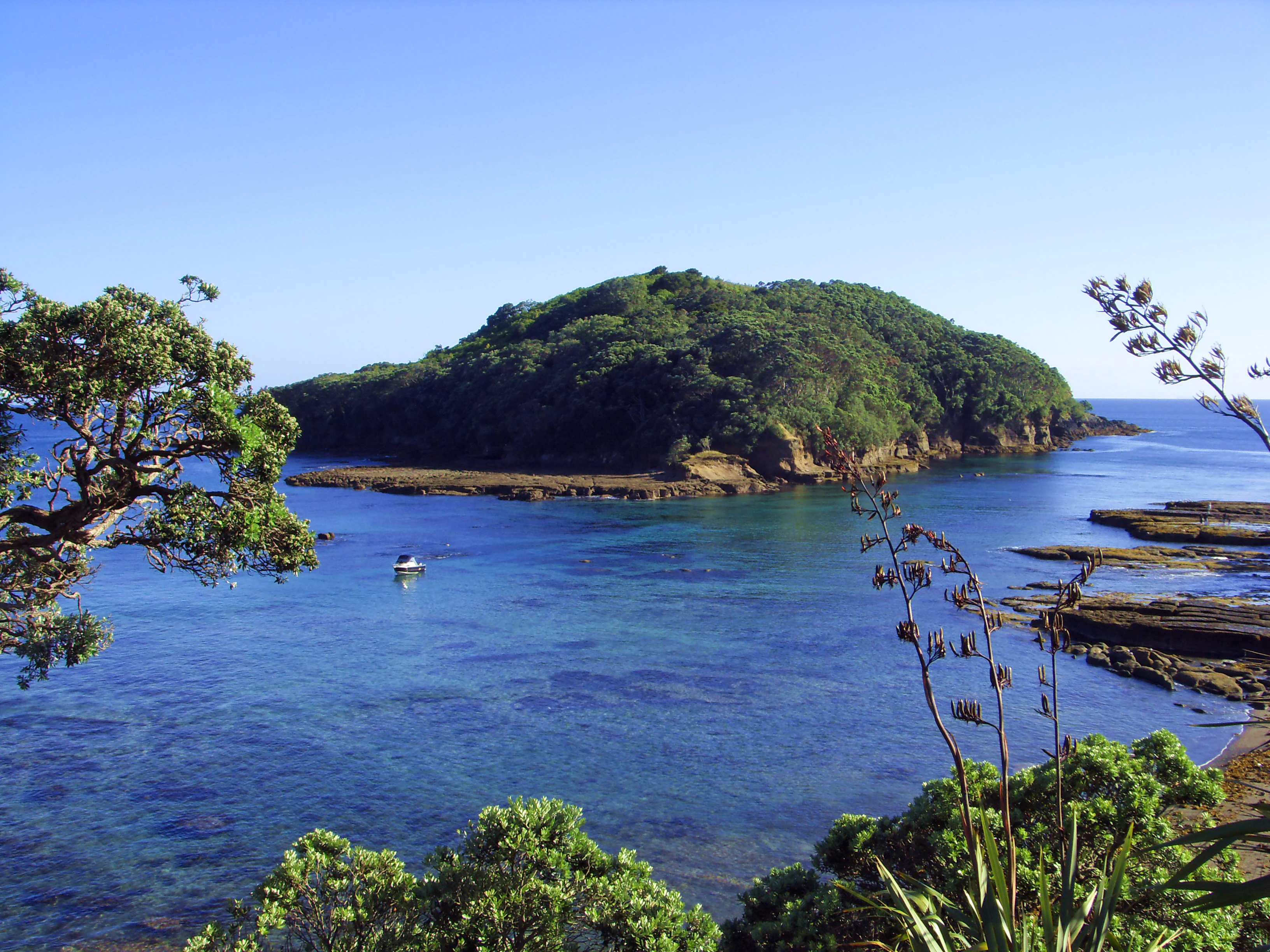 Una vista clara y soleada de la Isla Goat rodeada por las profundas aguas azules del océano, vista desde la costa con árboles nativos y plantas de lino en primer plano.