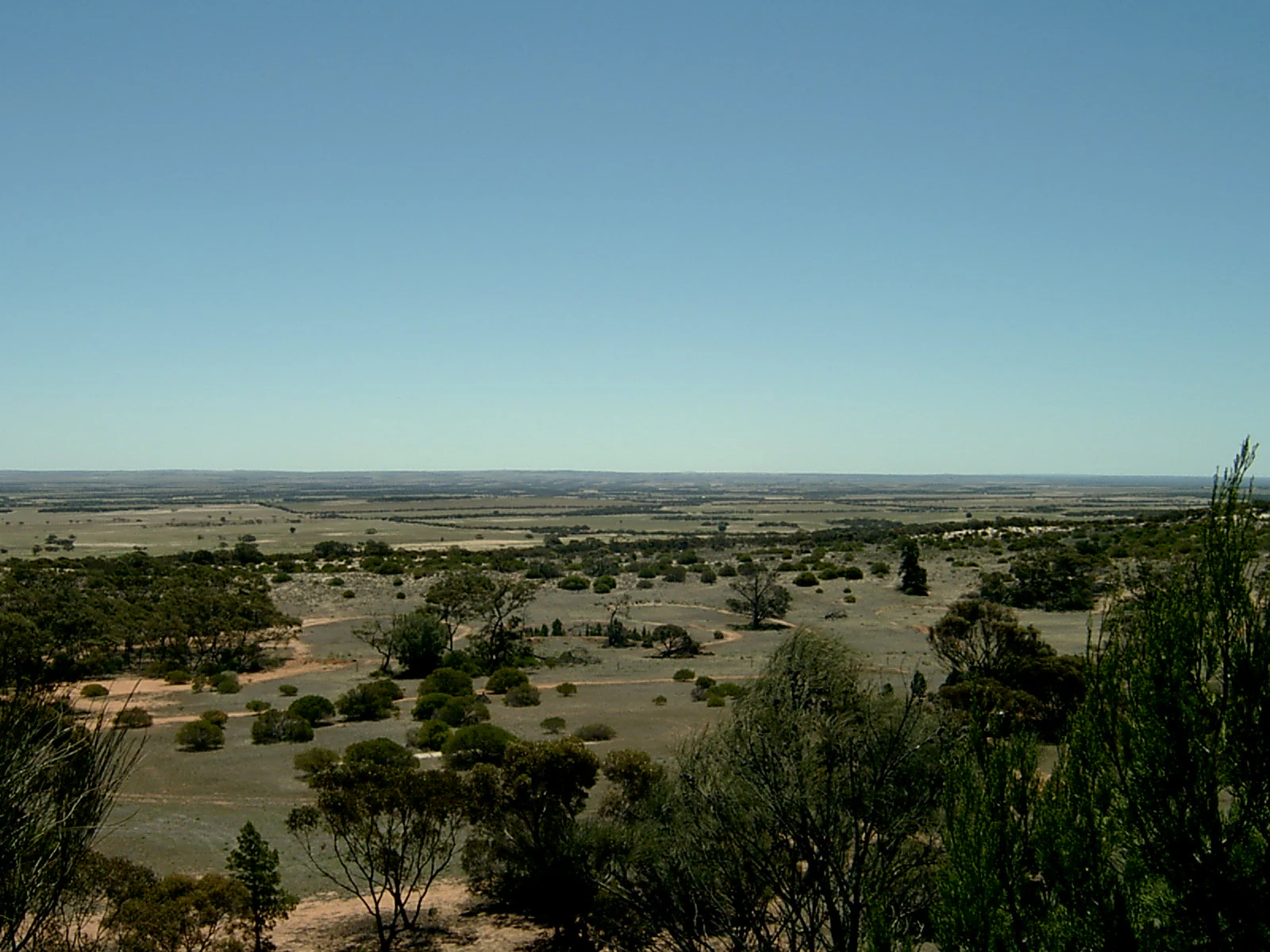 A high vantage point looking out over a dry, sparsely vegetated plain in the Eyre Peninsula under a clear blue sky.