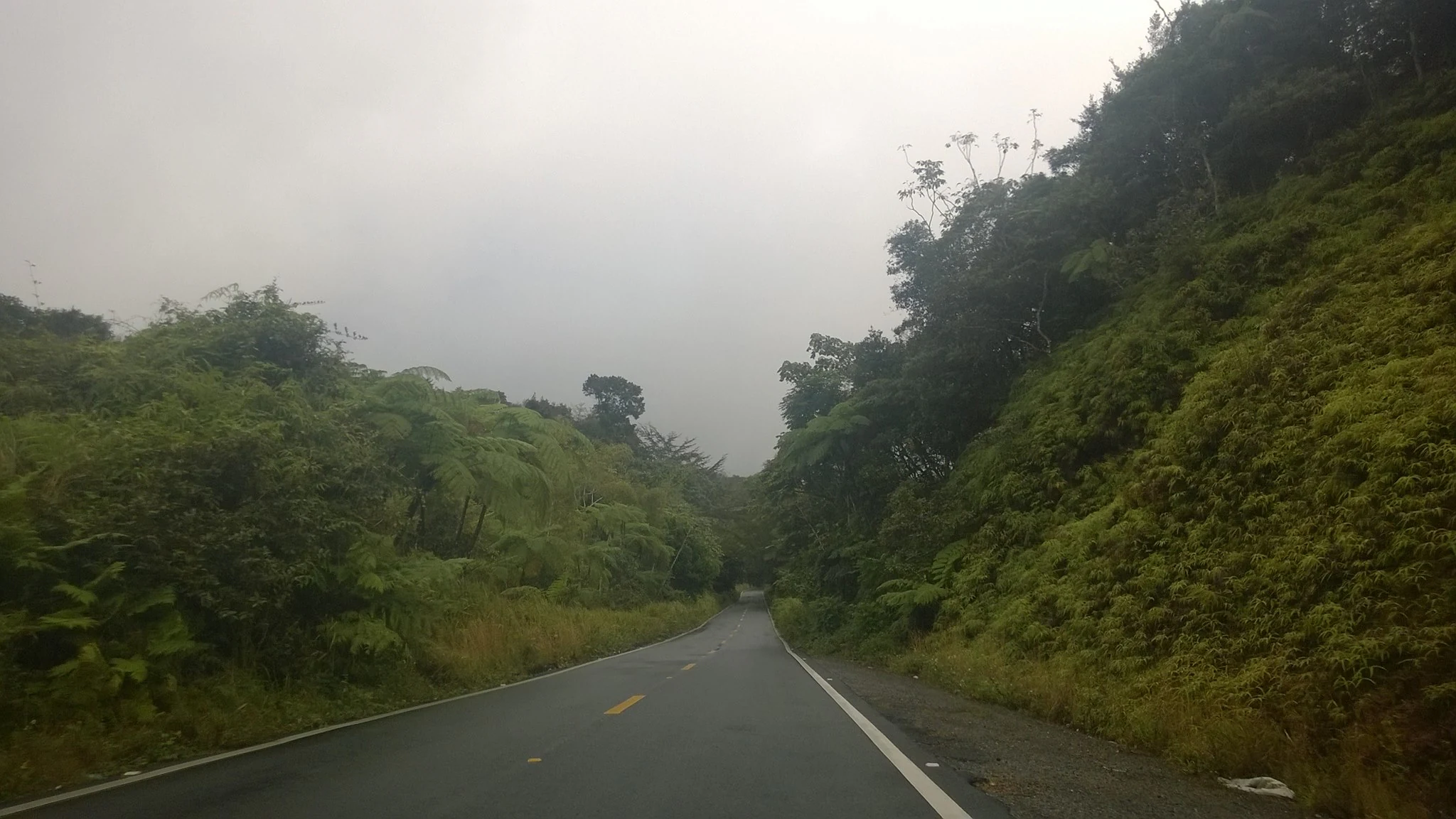 A paved mountain road winds through a dense, foggy, and green forested valley in Puerto Rico.