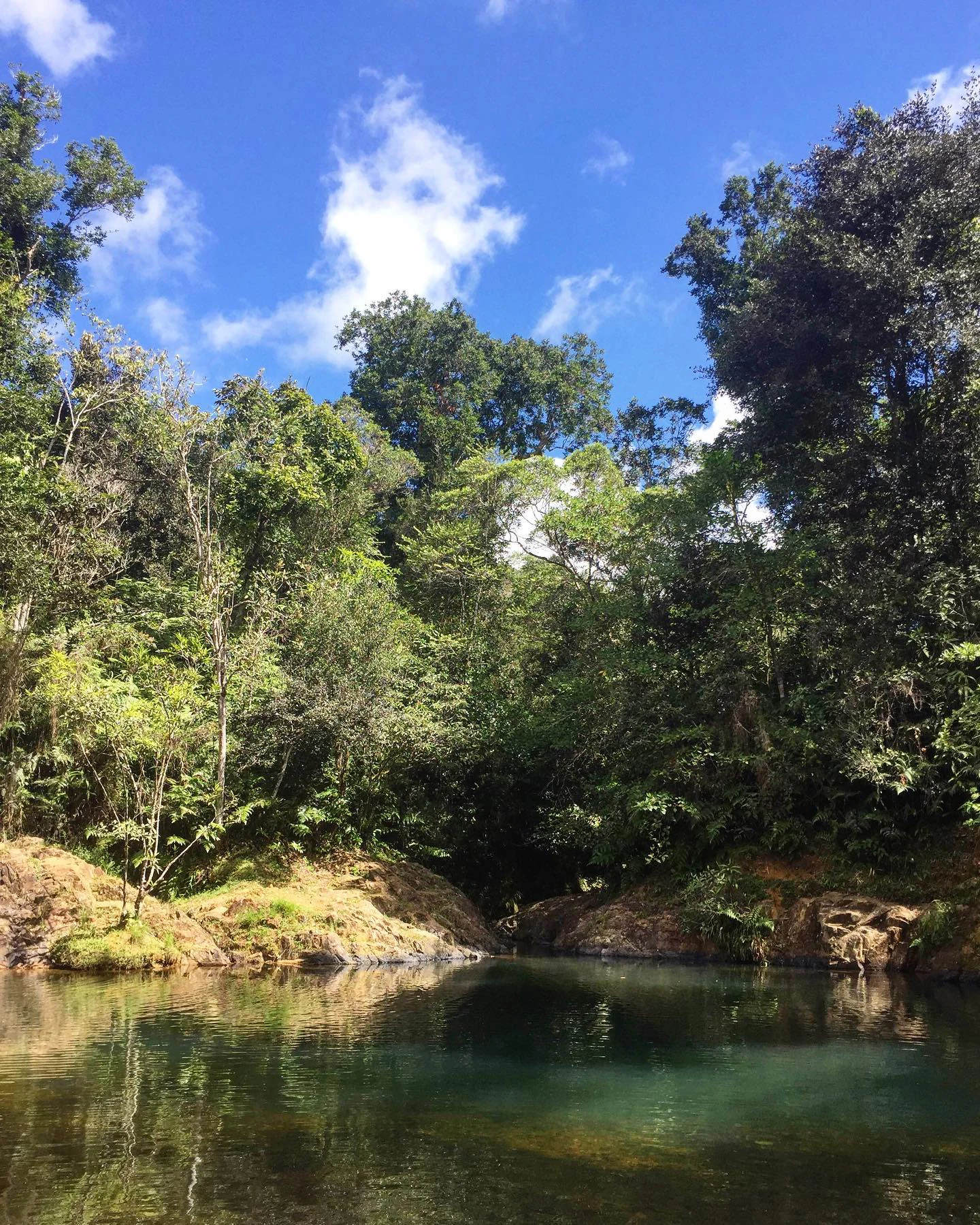 A natural pool of clear, greenish water surrounded by dense tropical forest under a bright blue sky.