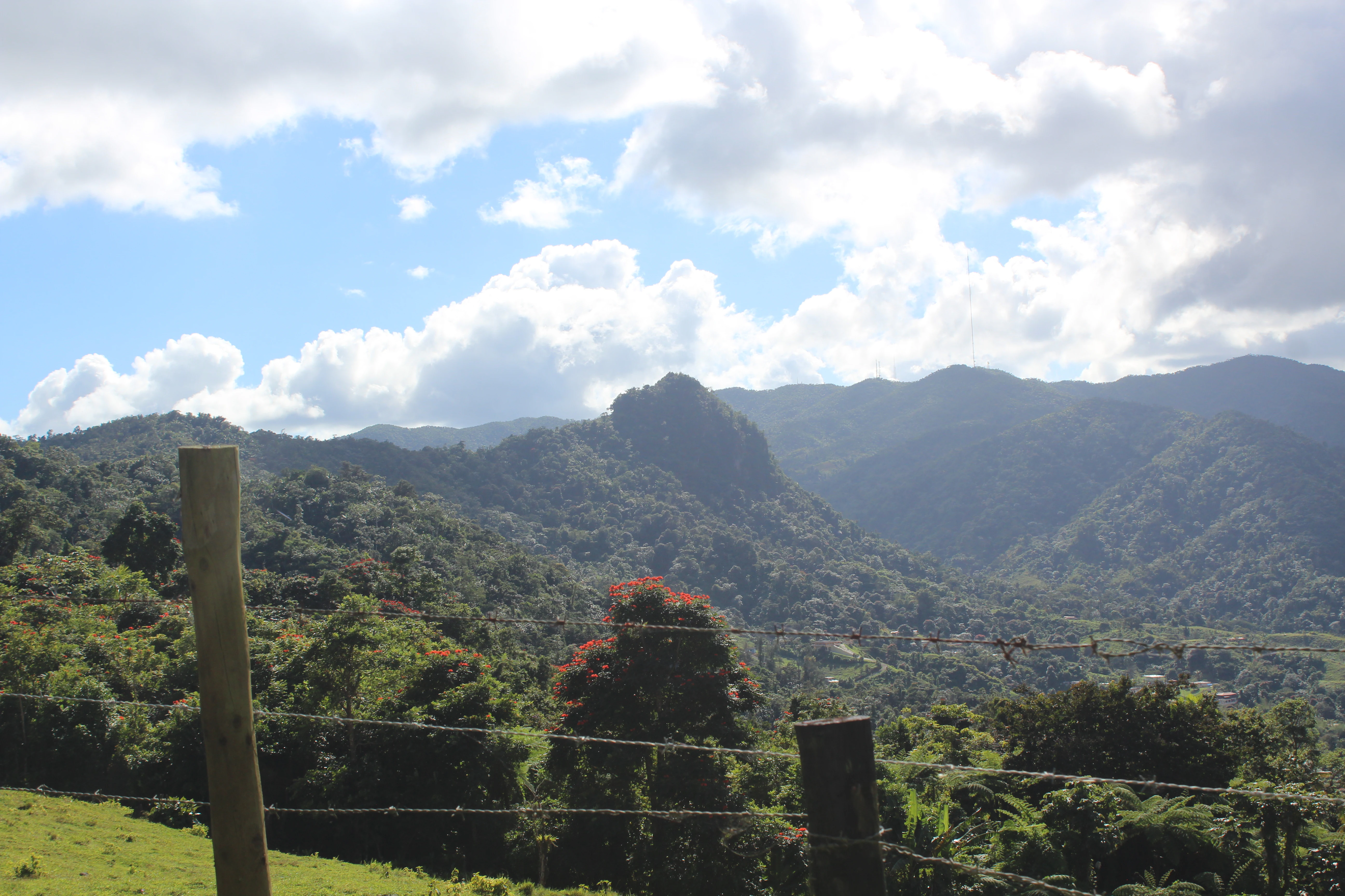 A wide view of a lush, green mountain range under a cloudy sky, seen from a distance with a wire fence in the foreground.