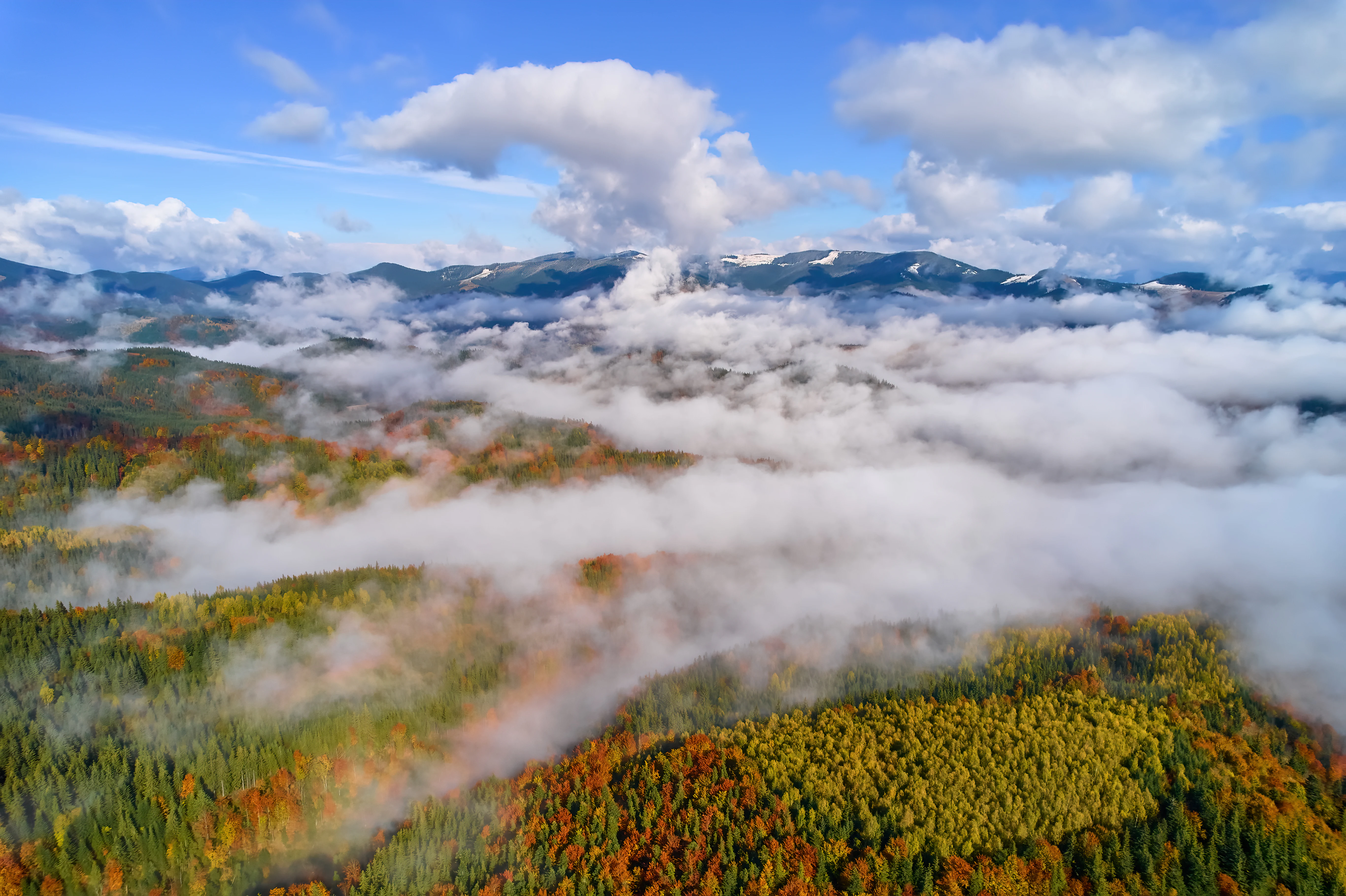 Aerial view of mountainous landscape with autumn foliage and low-lying clouds