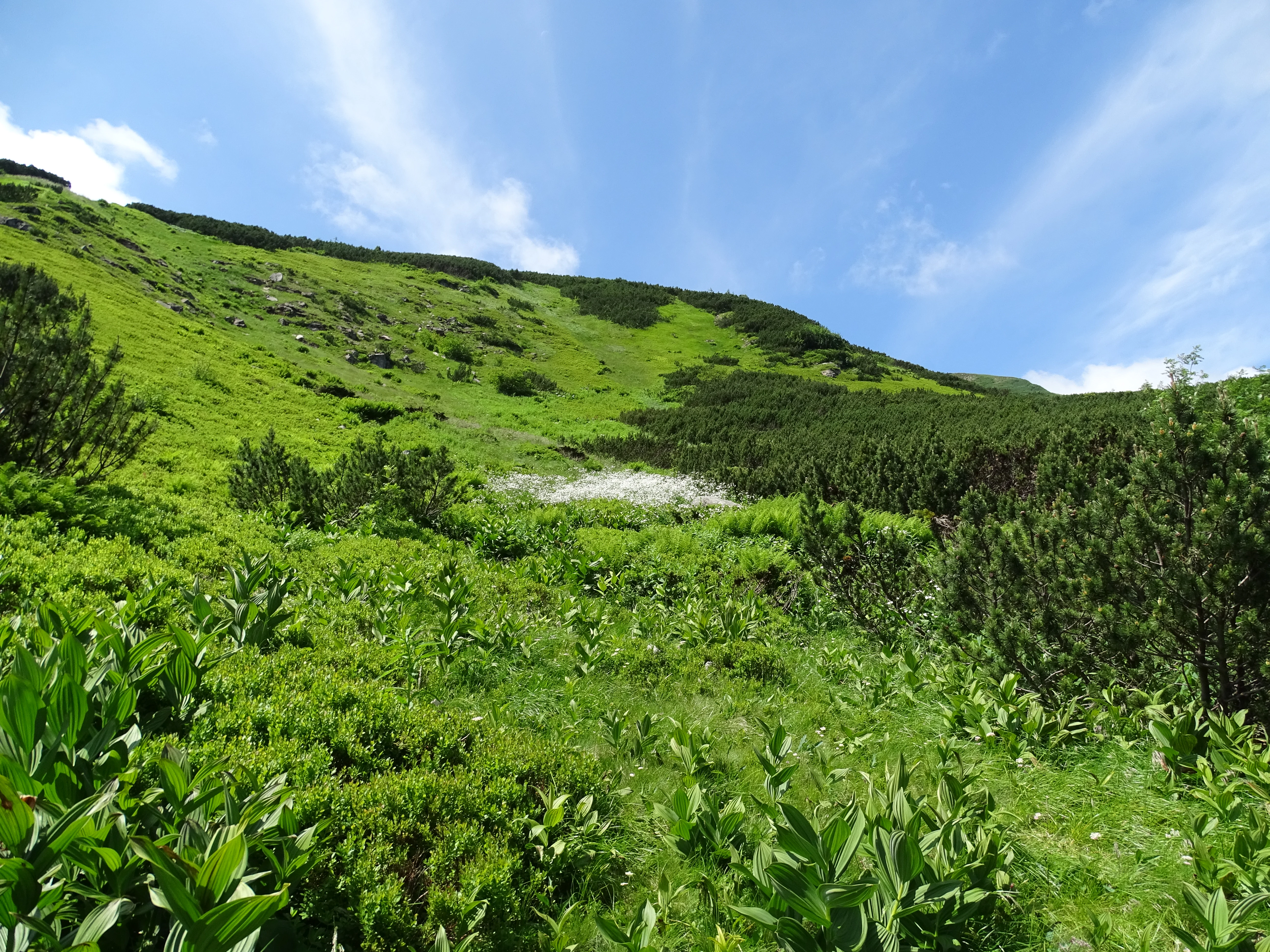 Green mountain slopes covered in vegetation under a clear blue sky with scattered clouds