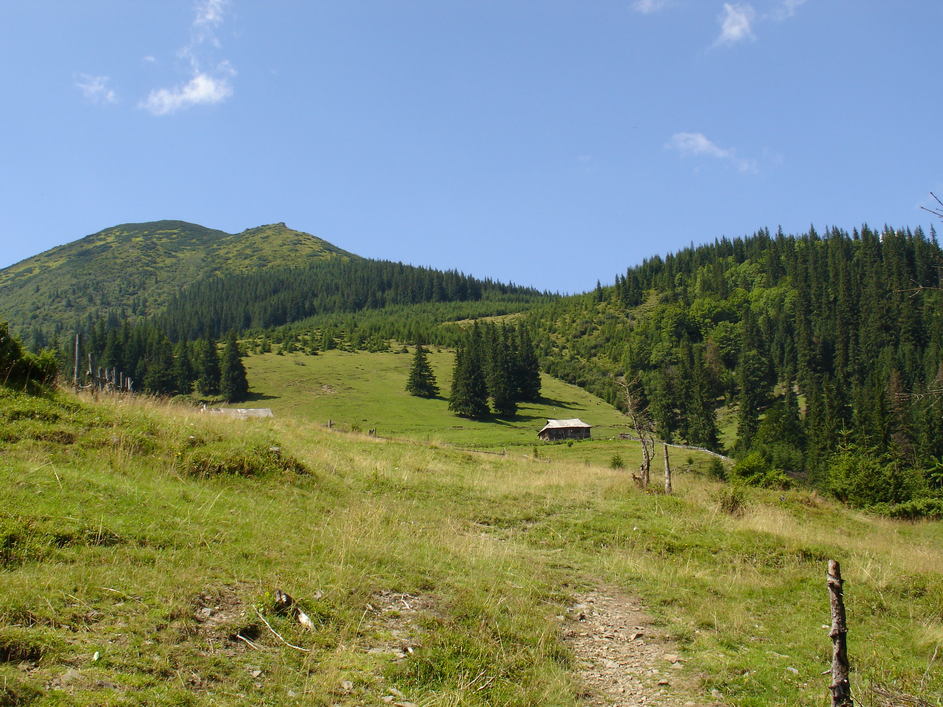 Grassy meadow with dirt trail leading through rolling hills, forested mountains in background under clear blue sky