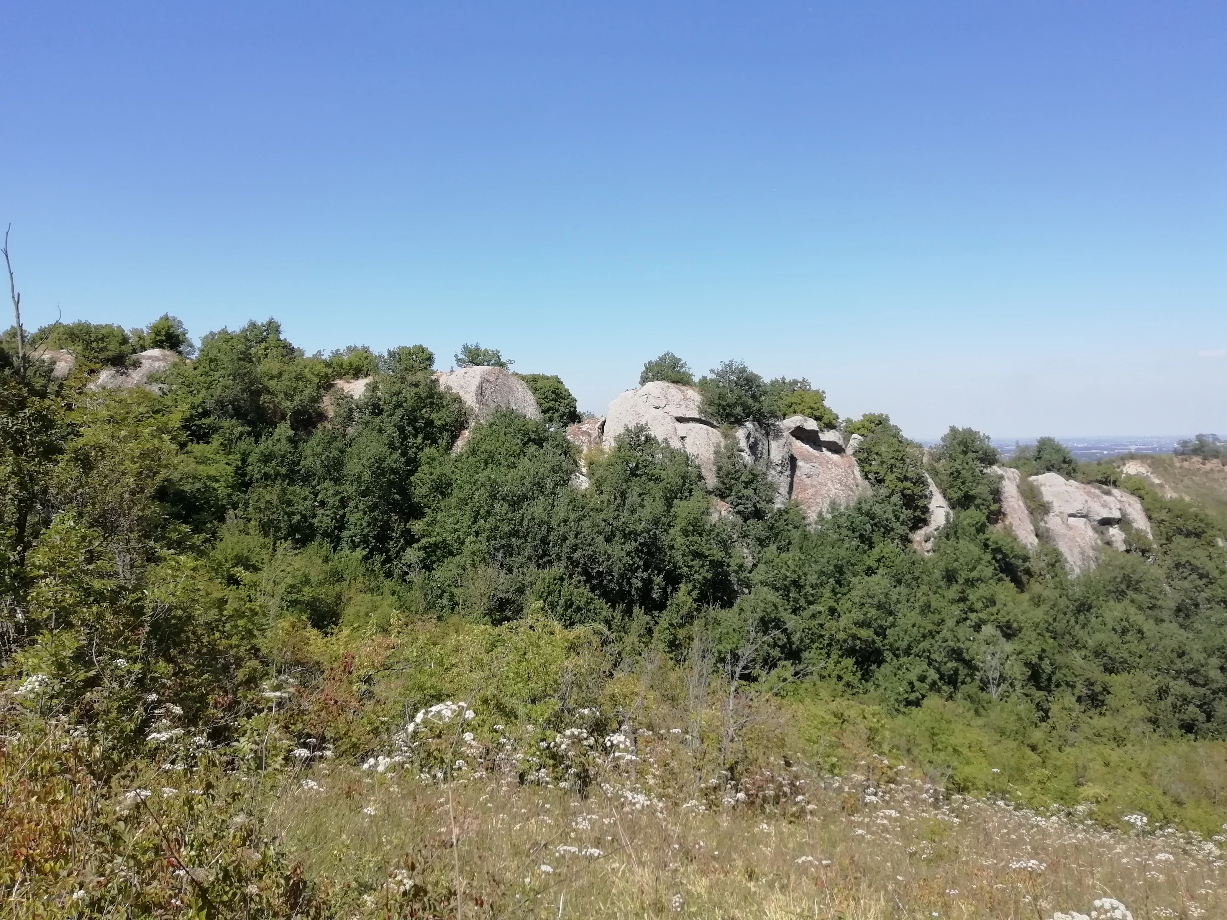 A sunny, eye-level view of a hillside covered in Mediterranean scrub and large, grey, weathered gypsum rock outcrops under a clear blue sky.