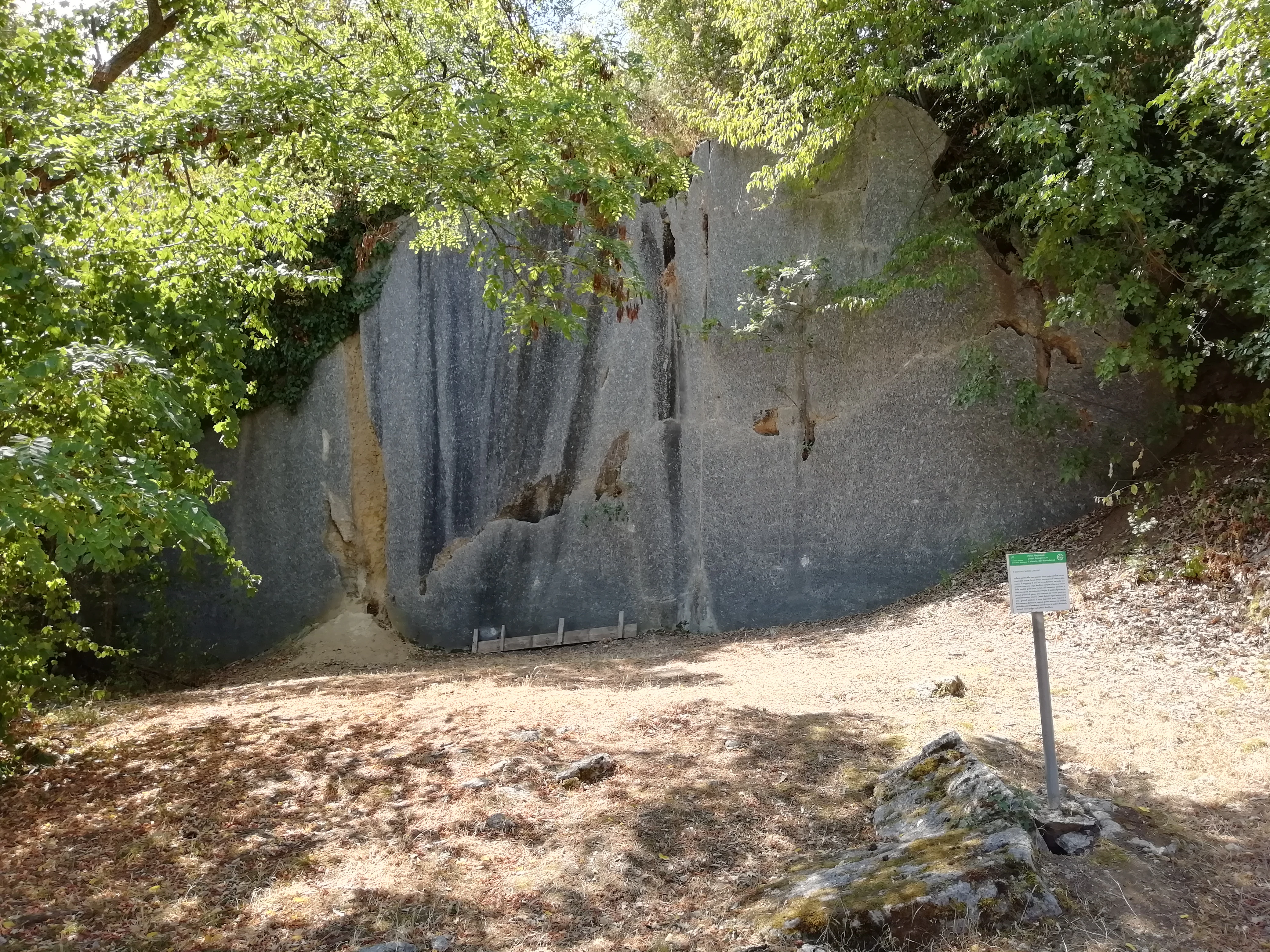 A rock face in a quarry showing vertical gouges and voids from ancient water erosion, surrounded by trees, with an interpretive sign in the foreground.