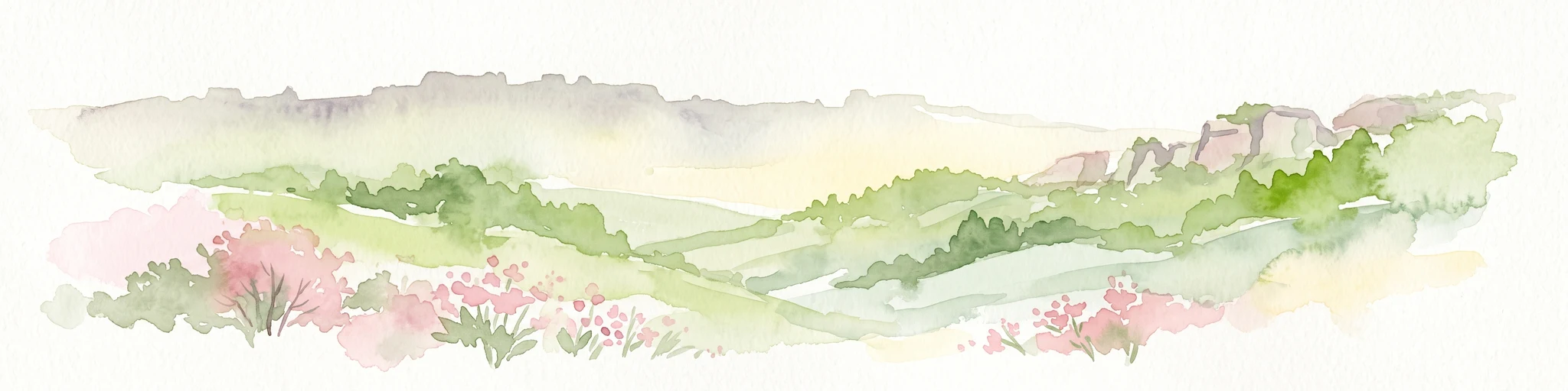 Una ilustración en acuarela de colinas onduladas con afloramientos de roca de yeso y arbustos en flor en primer plano.