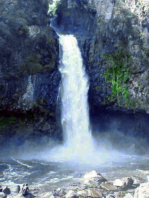 A tall waterfall cascading down a steep, rocky cliff face into a pool at the bottom, surrounded by lush vegetation.