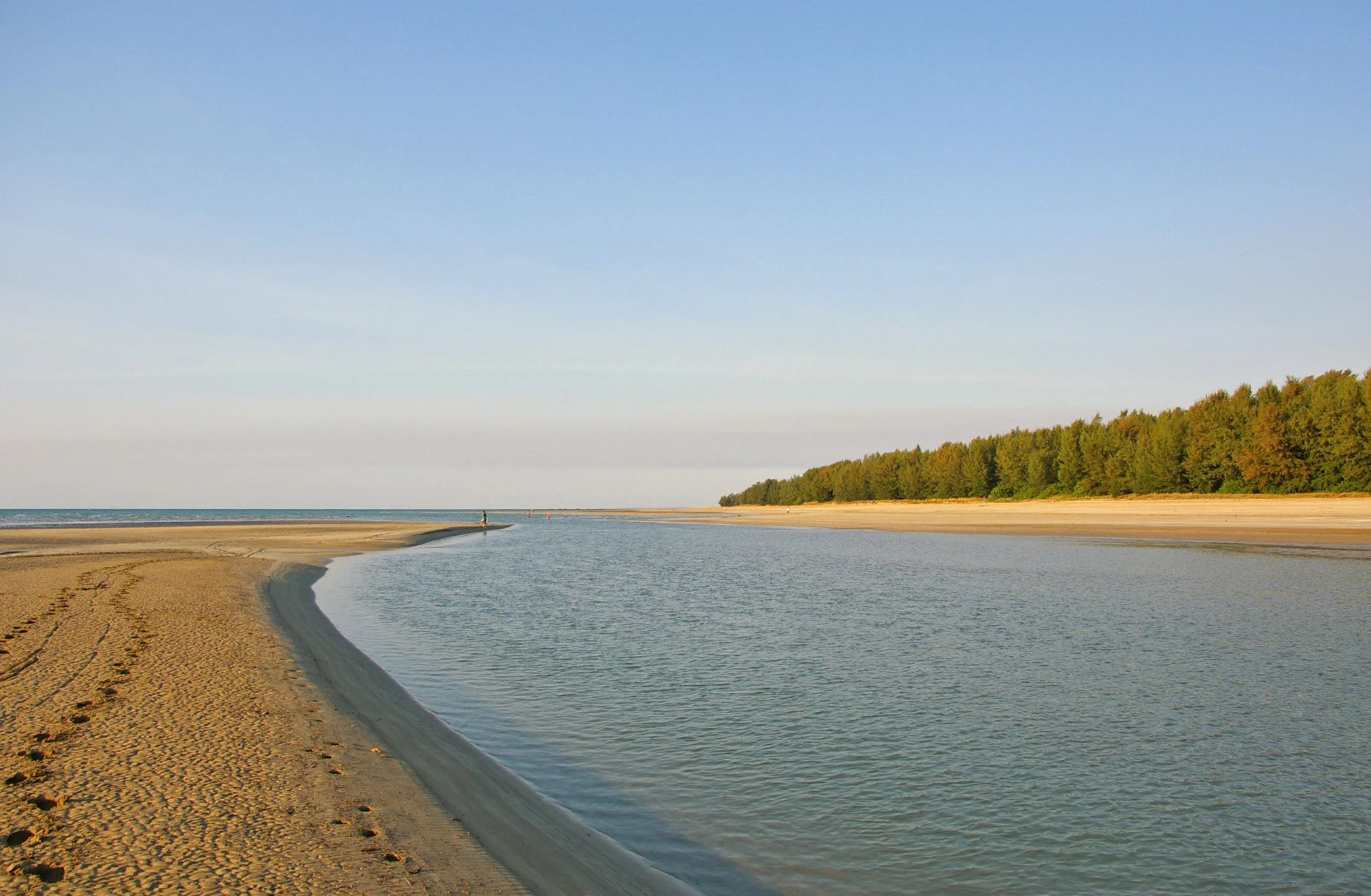 A wide coastal landscape at low tide showing a sandy creek estuary meeting the sea, with a forest line along the shore.