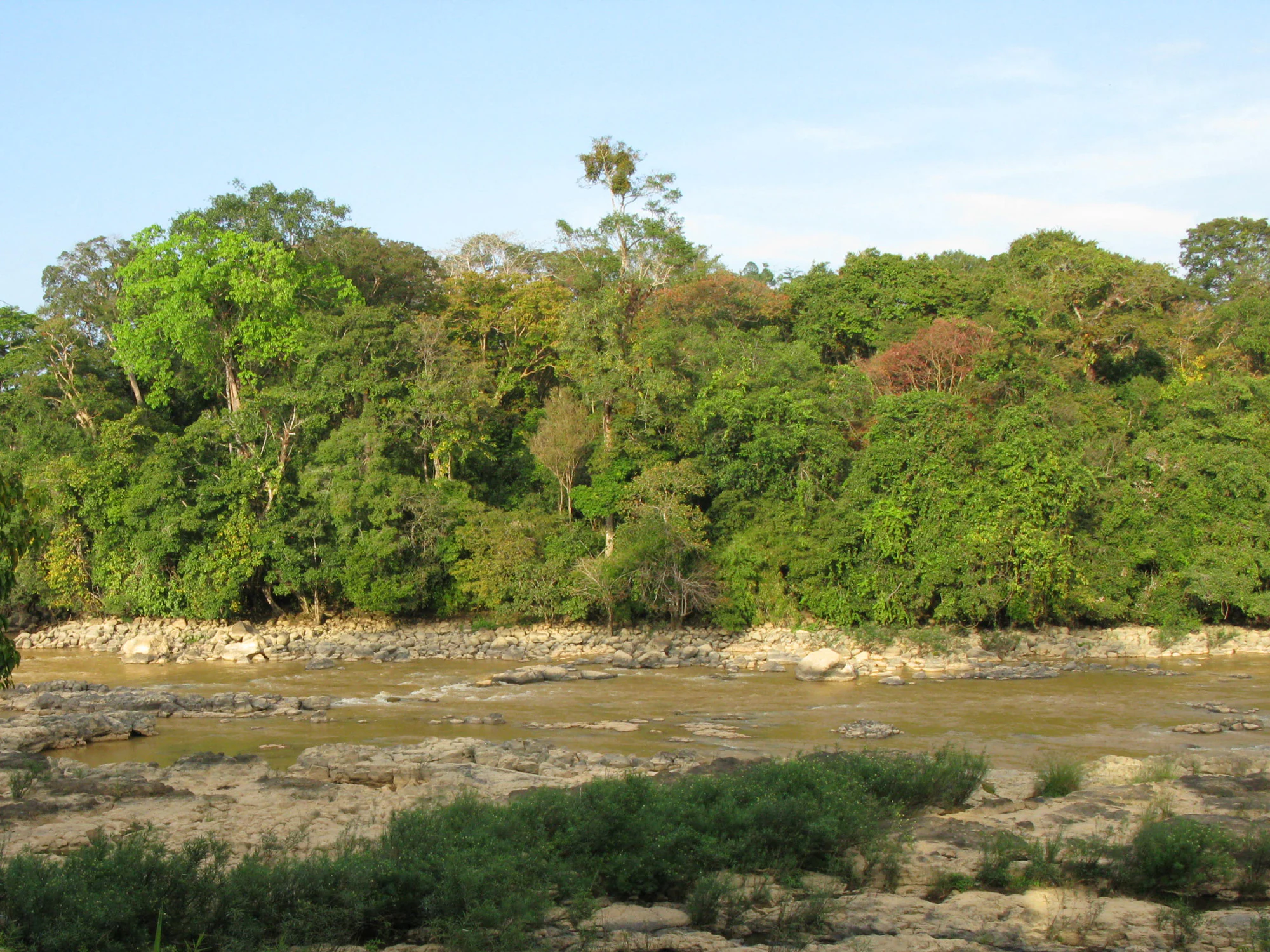 Río de aguas turbias y orillas rocosas rodeado de densa vegetación verde bajo un cielo despejado