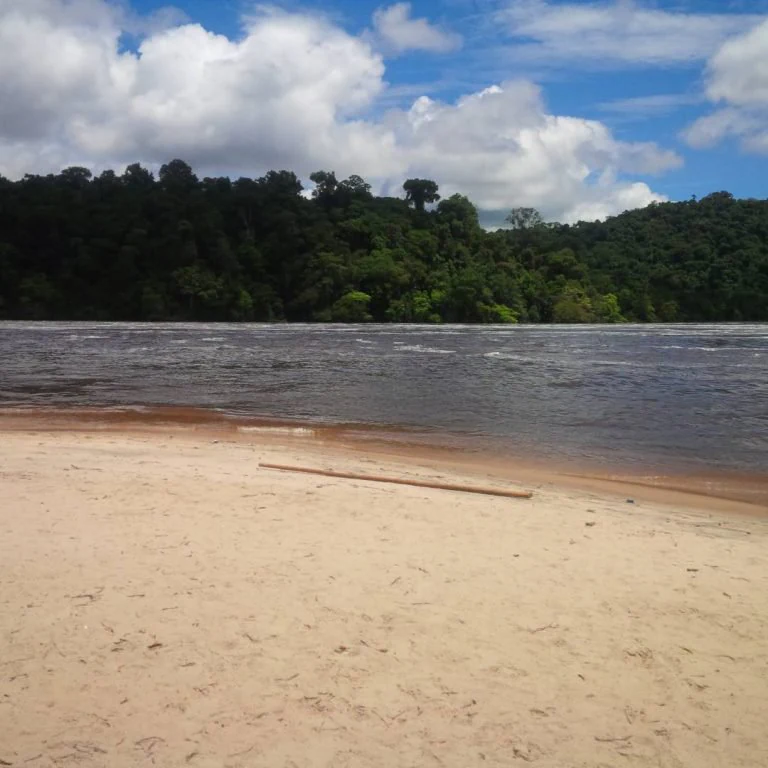 Sandy riverbank with calm water, dense green forest on the opposite shore, and blue sky with scattered clouds