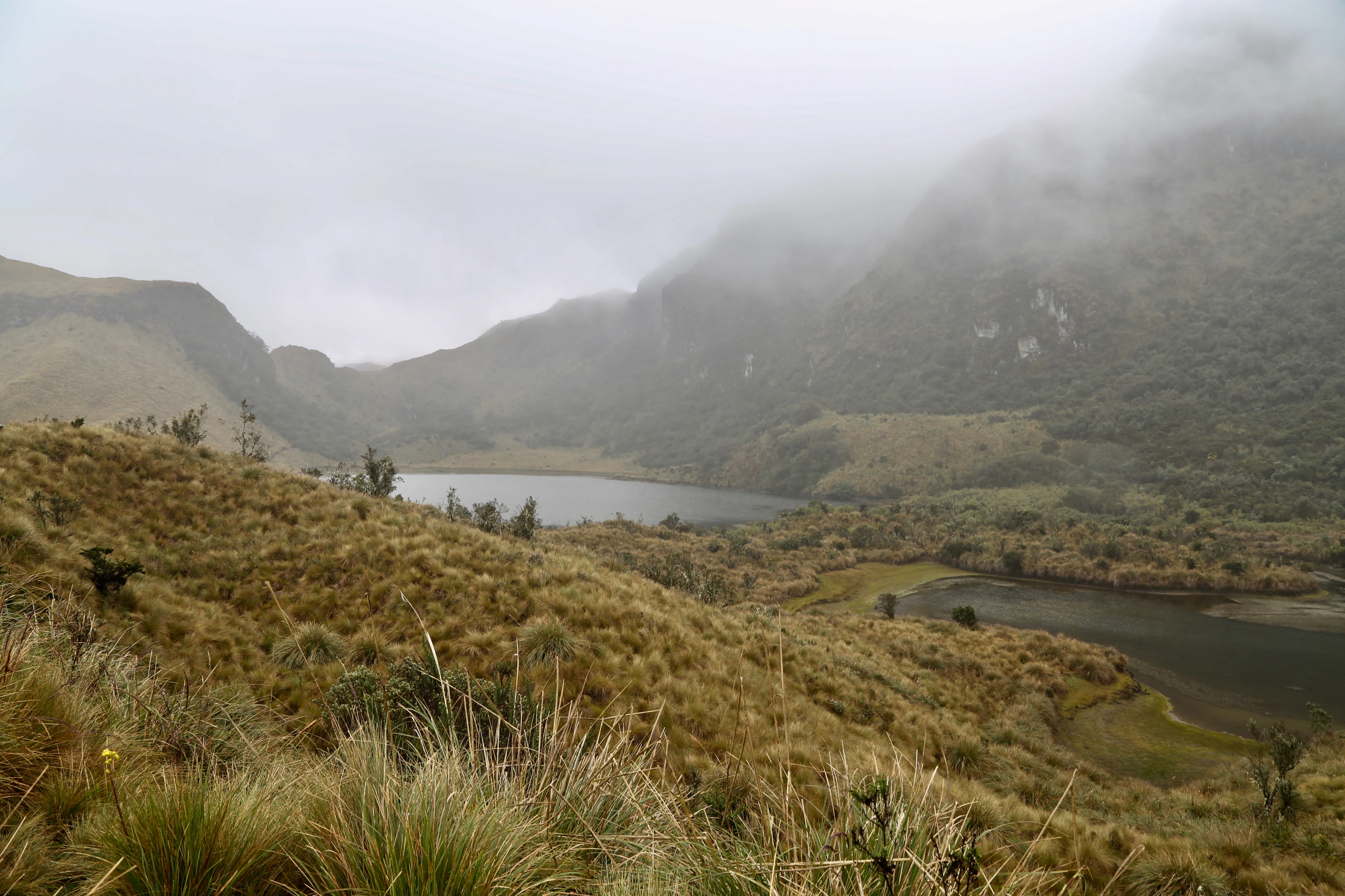 A wide view of a high altitude paramo landscape featuring a lake surrounded by rolling grassy hills and mountains obscured by low clouds.