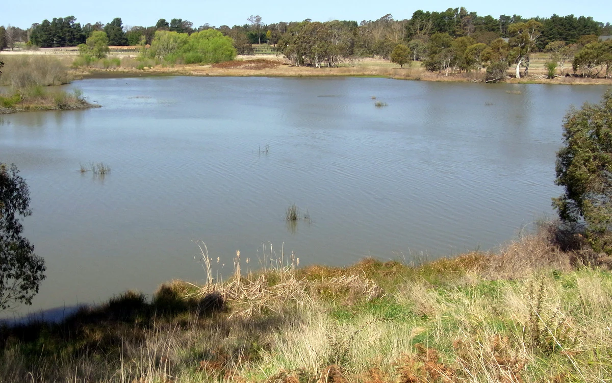 A wide landscape view of a calm body of water surrounded by grassy banks and a line of trees in the background under a clear blue sky.