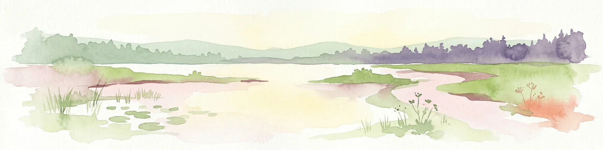 Pintura de acuarela de un humedal con un lago tranquilo, juncos y colinas boscosas distantes