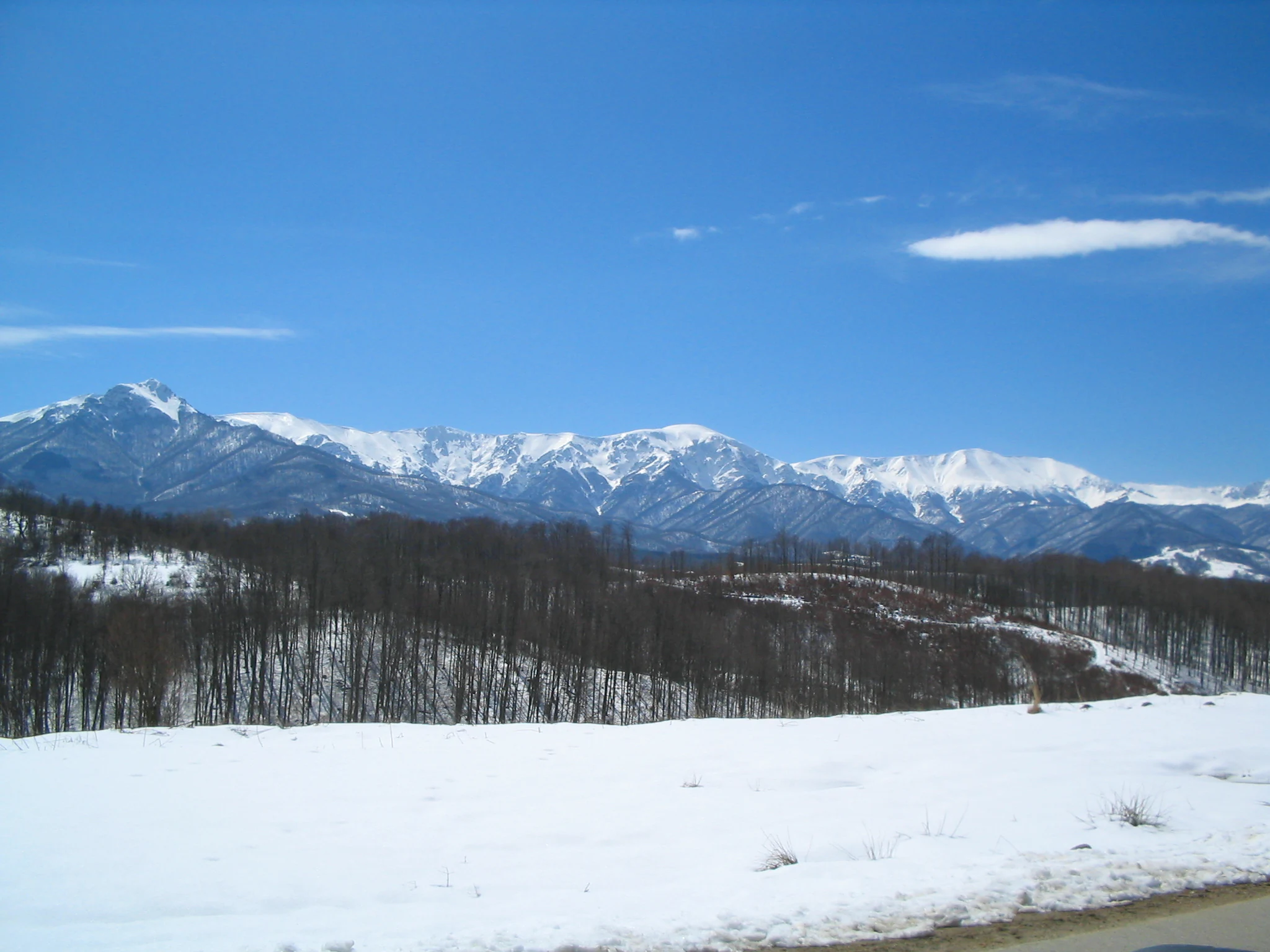 Snow-covered mountain peaks and forested hills under a clear blue sky