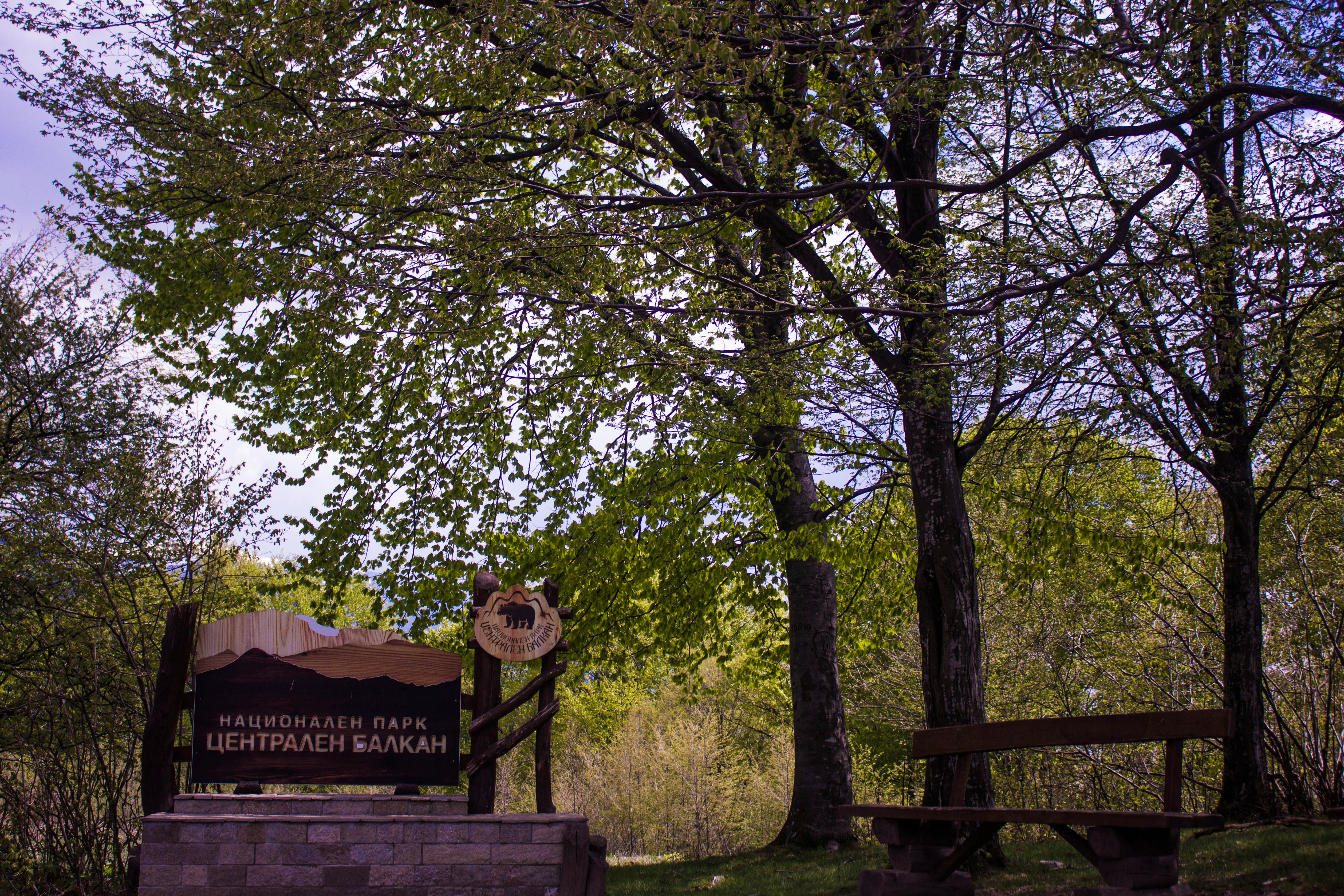 Wooden welcome sign for Central Balkan National Park with Bulgarian text and bear logo, surrounded by trees and a wooden bench