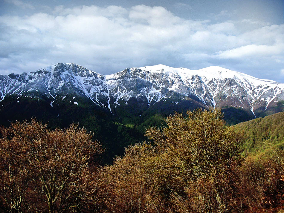 Snow-covered mountain peaks with forested valleys and autumn foliage in the foreground