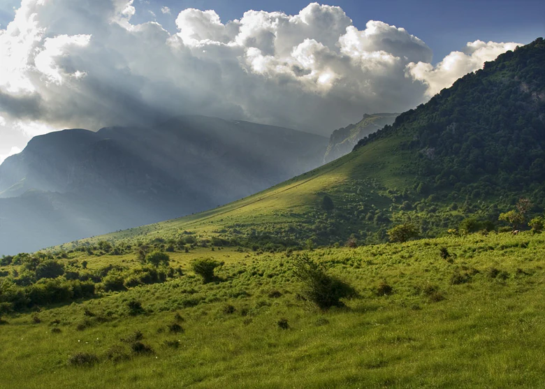 Green meadow with scattered bushes under a partly cloudy sky, mountain slopes in the background