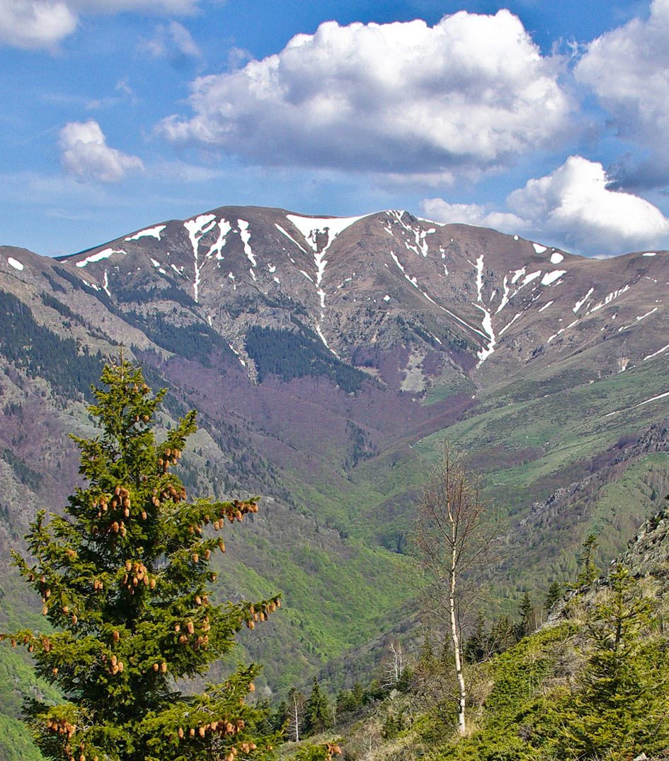 Mountain peak with snow patches, green valley, and forested slopes under a partly cloudy sky