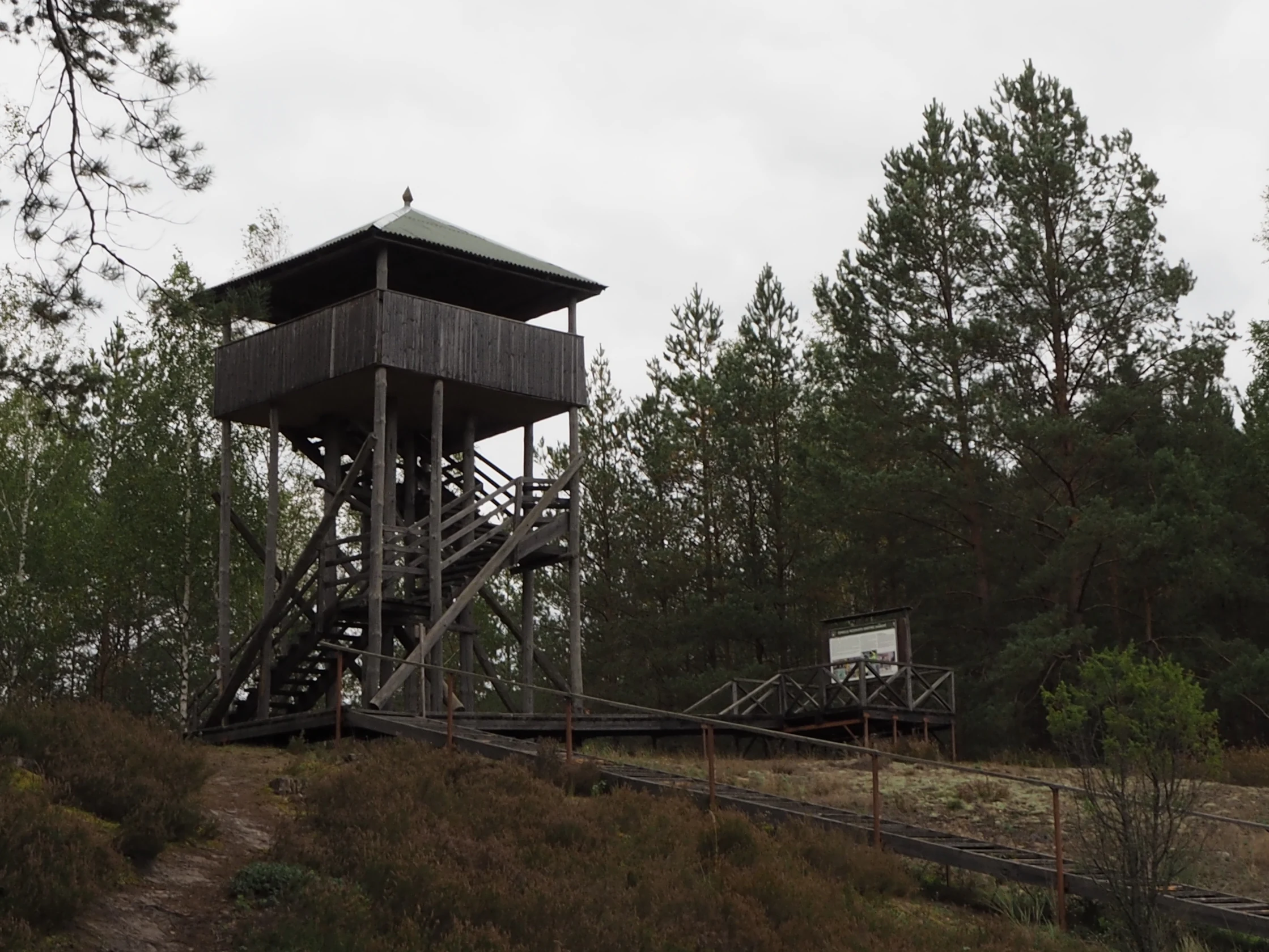 A tall, wooden observation tower stands among pine trees and marshy ground on an overcast day.