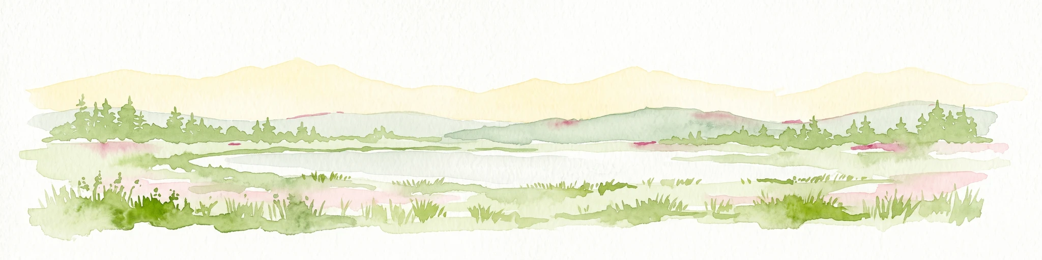 A watercolor painting showing a wide, panoramic view of a marshy wetland with patches of green vegetation, small trees, and low hills in the distance.
