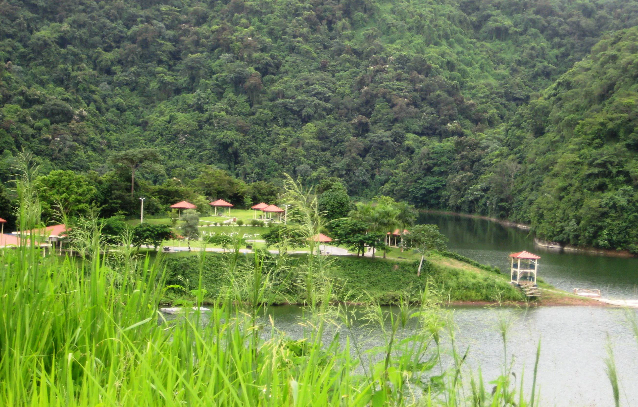 A wide view of a calm lake surrounded by lush green hills covered in dense forest. In the foreground, tall green grasses frame the scene, while the midground features a grassy recreation area with small covered pavilions and a lookout structure near the water.