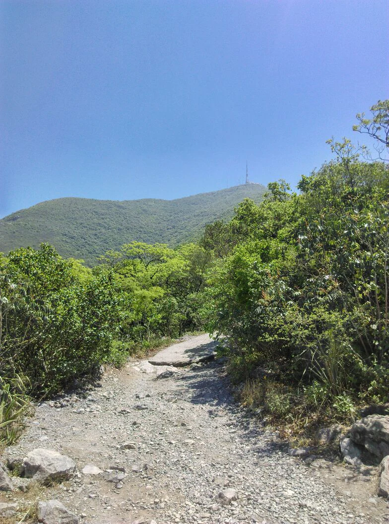 A dirt and gravel hiking trail winds through dense green vegetation toward a mountain peak topped with a communications tower under a clear blue sky.