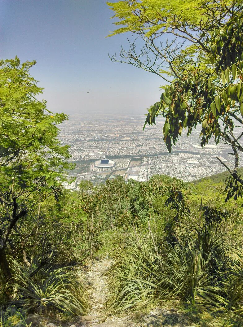 A high angle shot looking down a rocky, overgrown trail through green vegetation, revealing a hazy cityscape with a prominent stadium below.
