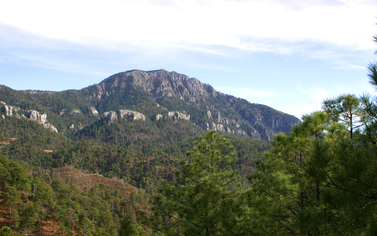 A wide landscape shot of a rocky mountain summit rising above dense pine forest, set against a bright sky.