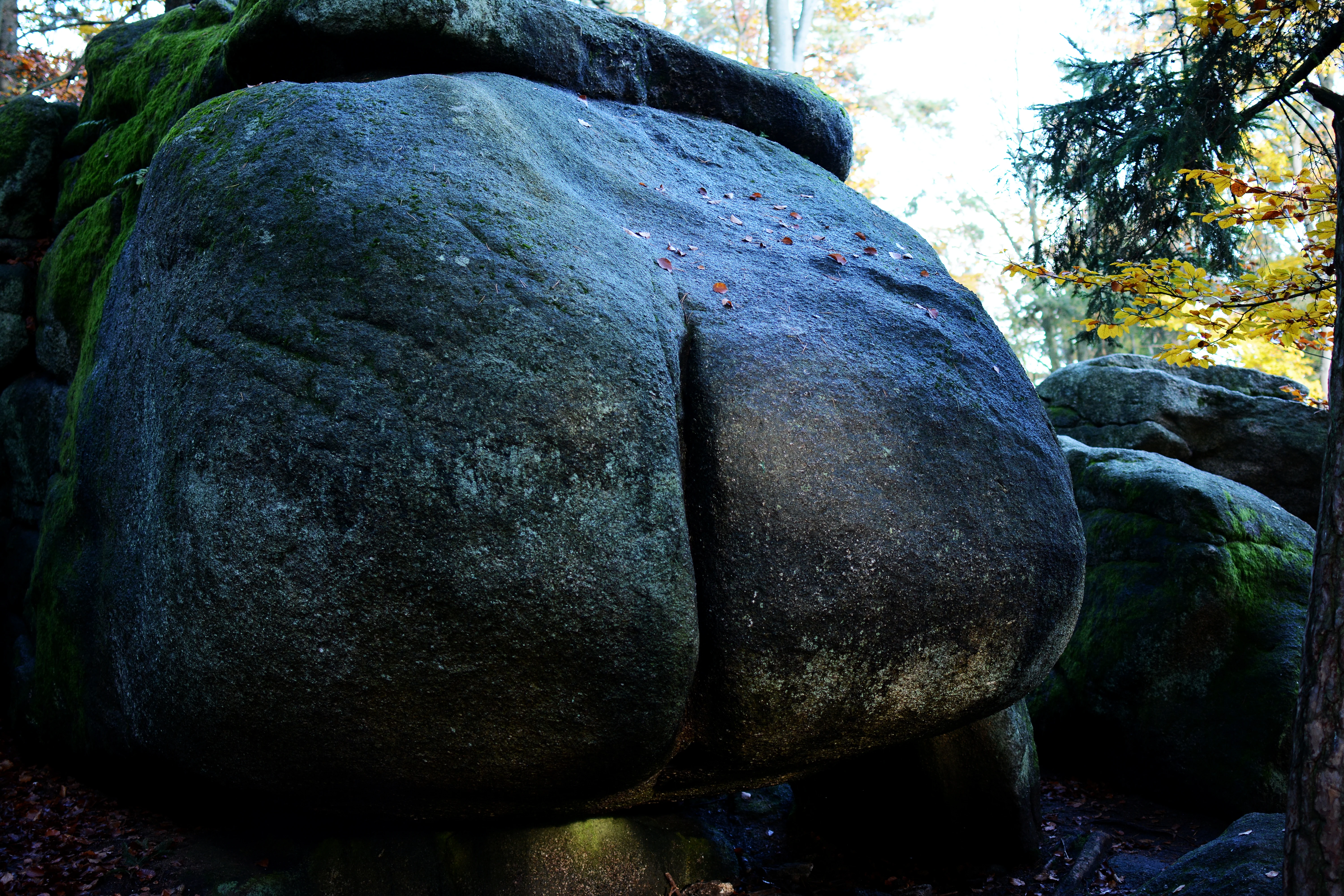 A large, weathered granite boulder with a prominent vertical crevice resembling the shape of buttocks, sitting in a forest setting.