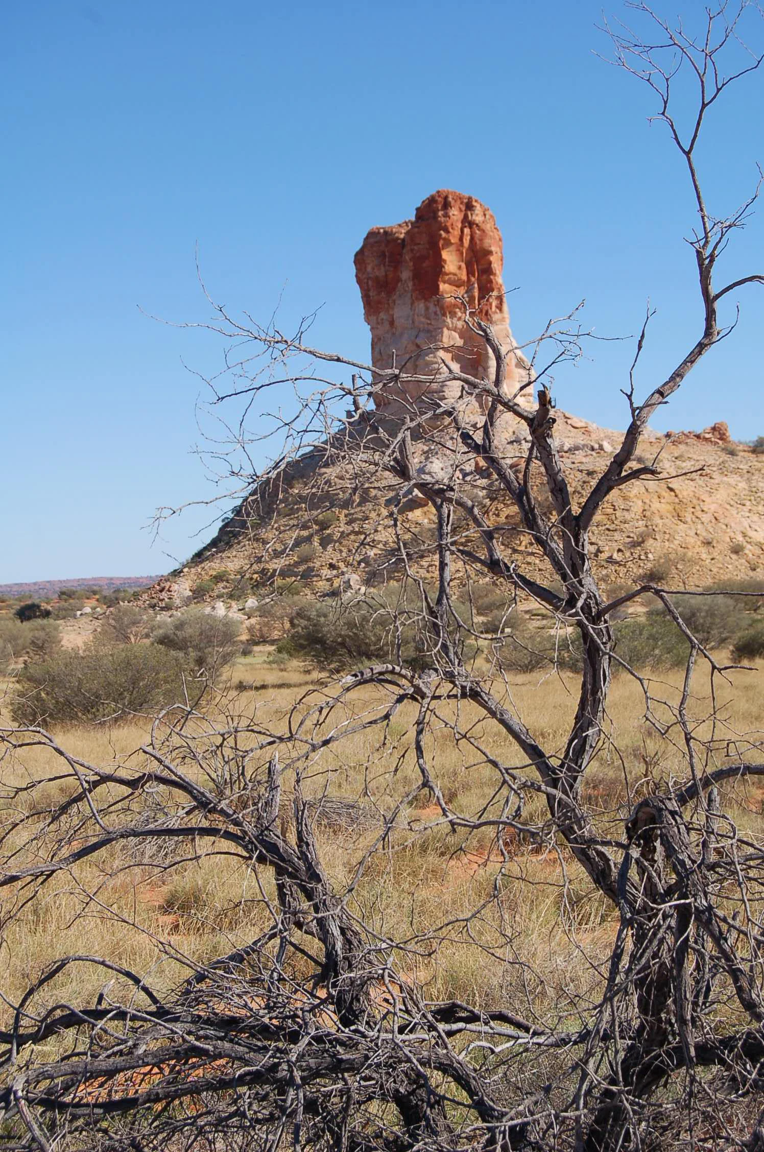 Una gran columna de arenisca de color rojo anaranjado, erosionada por el tiempo, se alza desde una llanura plana, seca y cubierta de hierba, vista detrás de un árbol nudoso y sin hojas.