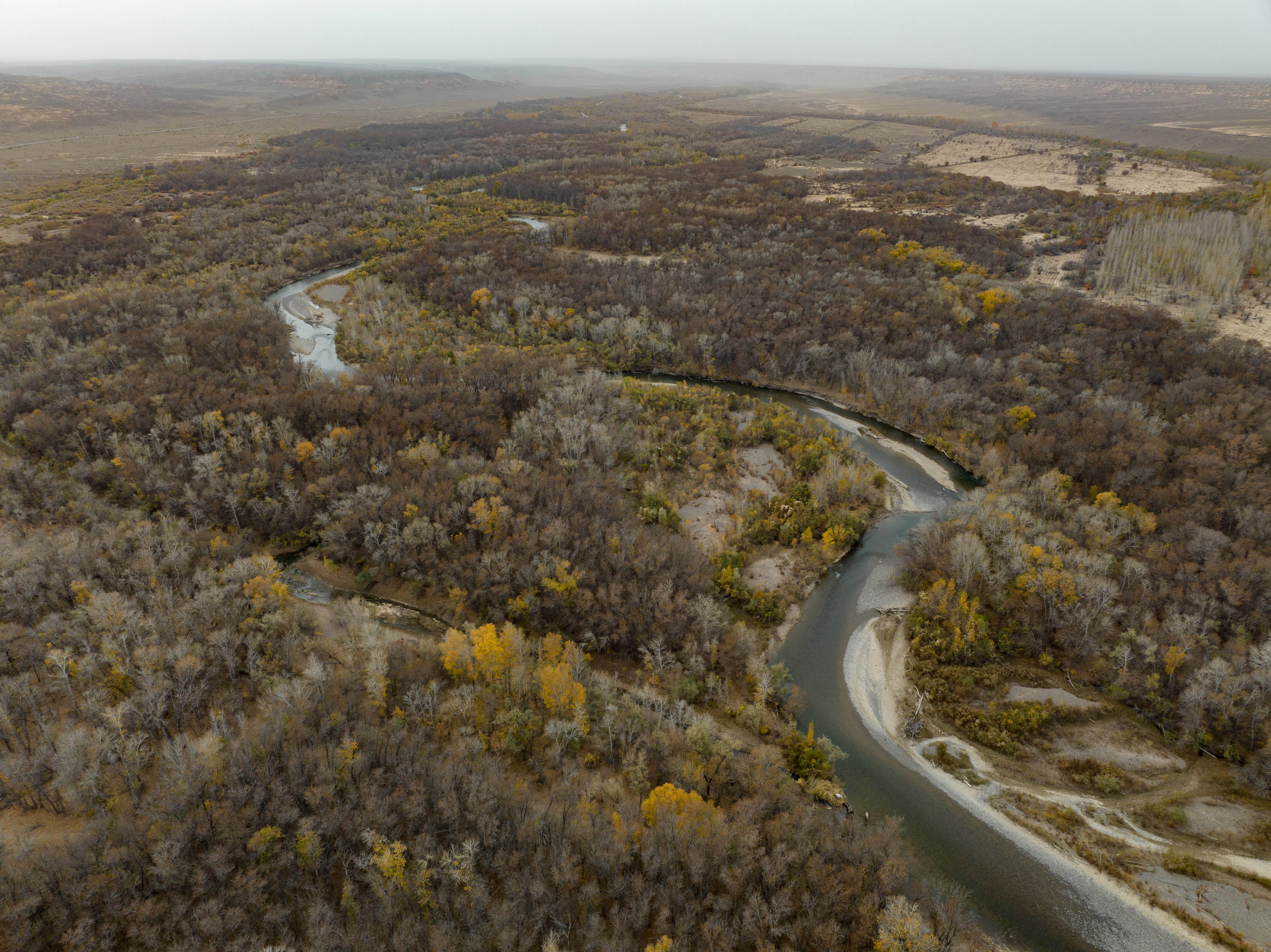 An aerial view showing a river winding through a dense forest with autumn foliage and surrounding arid, open landscape.