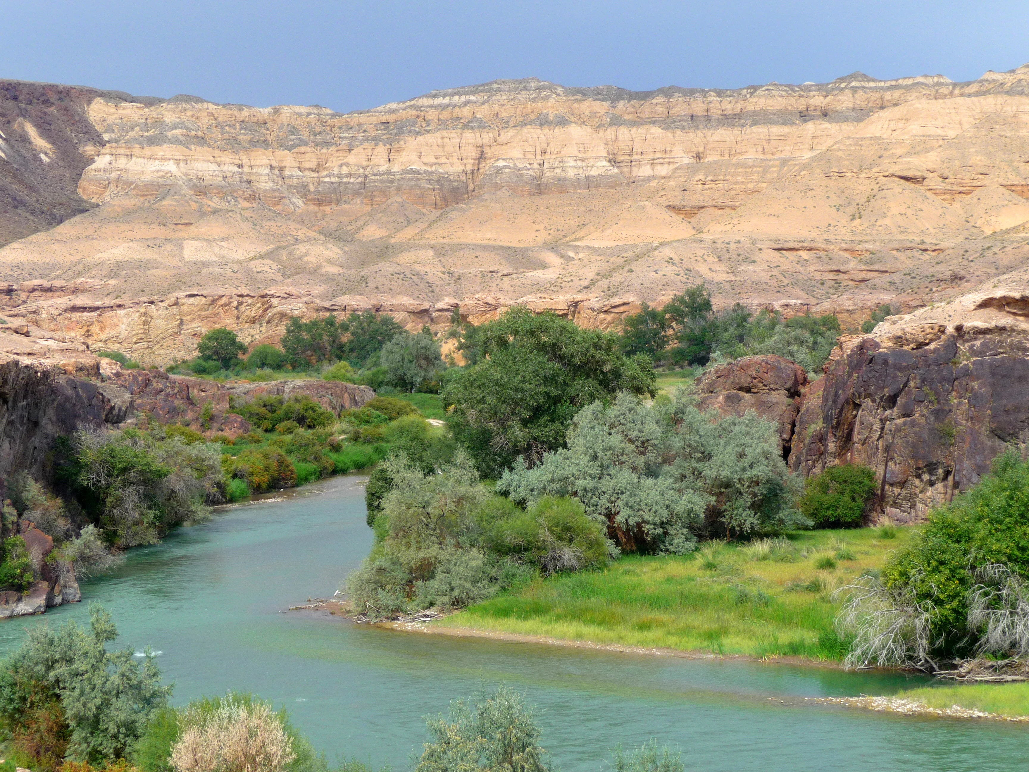 Charyn River flowing through a canyon with layered rock formations, green shrubs, and trees under a clear sky