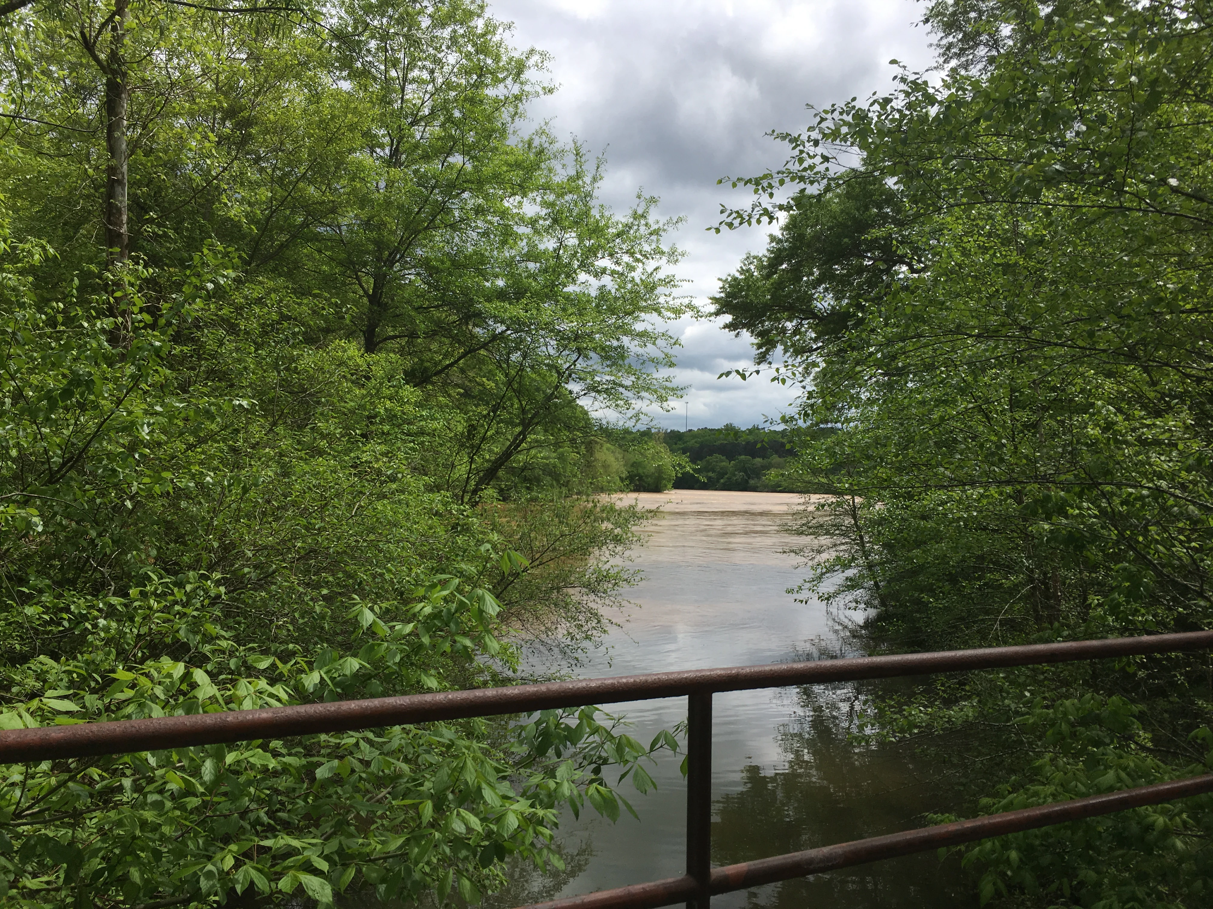 A view of the Chattahoochee River from a bridge, with green trees lining the banks and a sandbar in the distance under a cloudy sky.